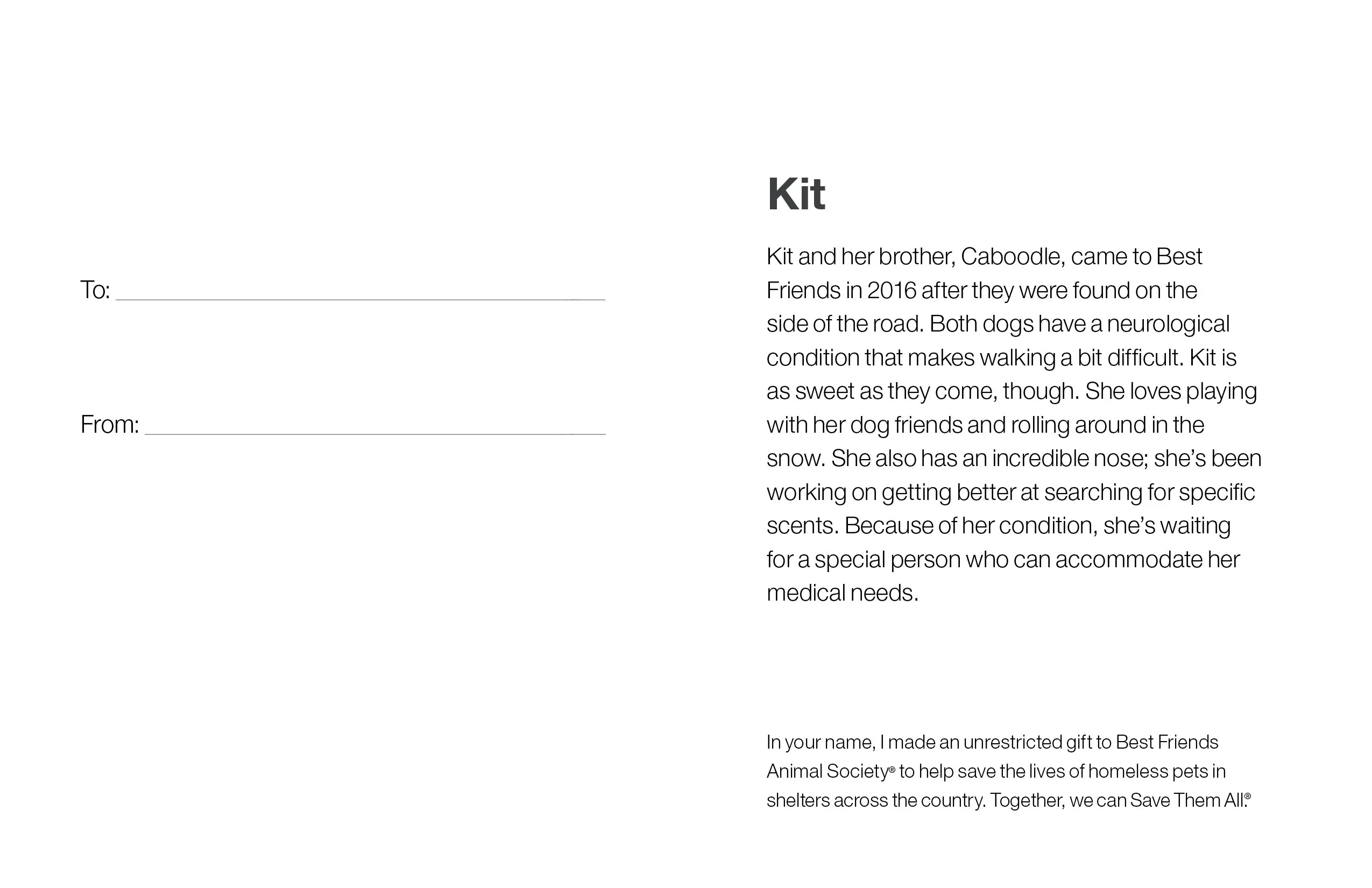 Sponsor Kit - Image 5