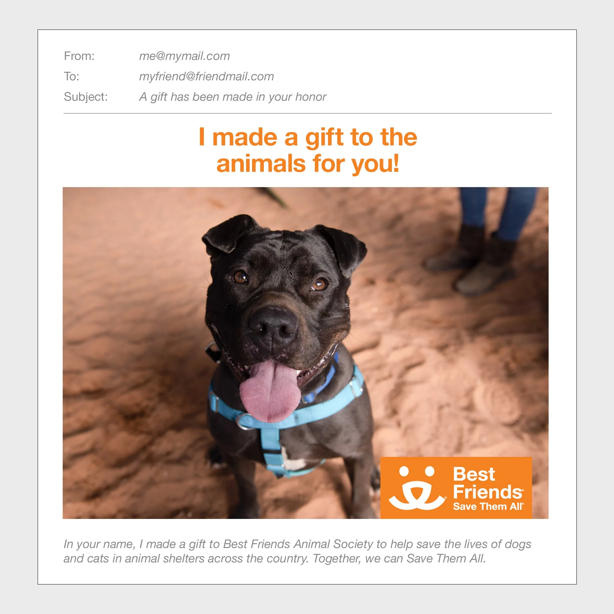 Sponsor Myrtle - Image 3