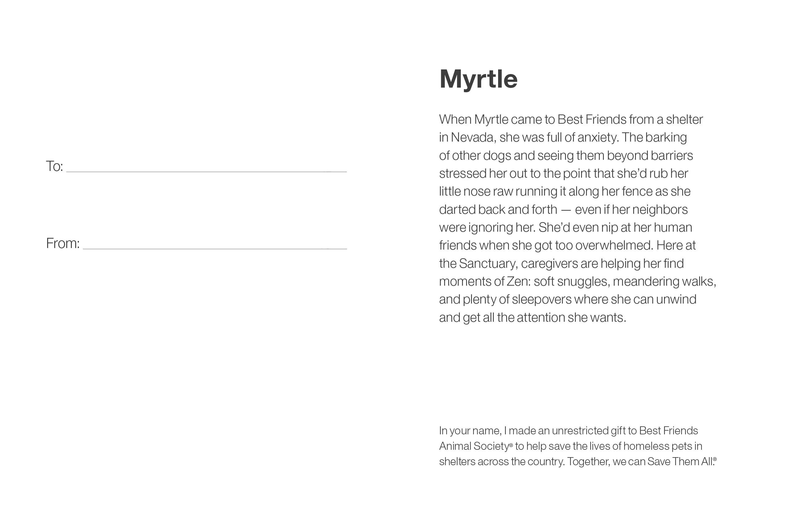 Sponsor Myrtle - Image 5
