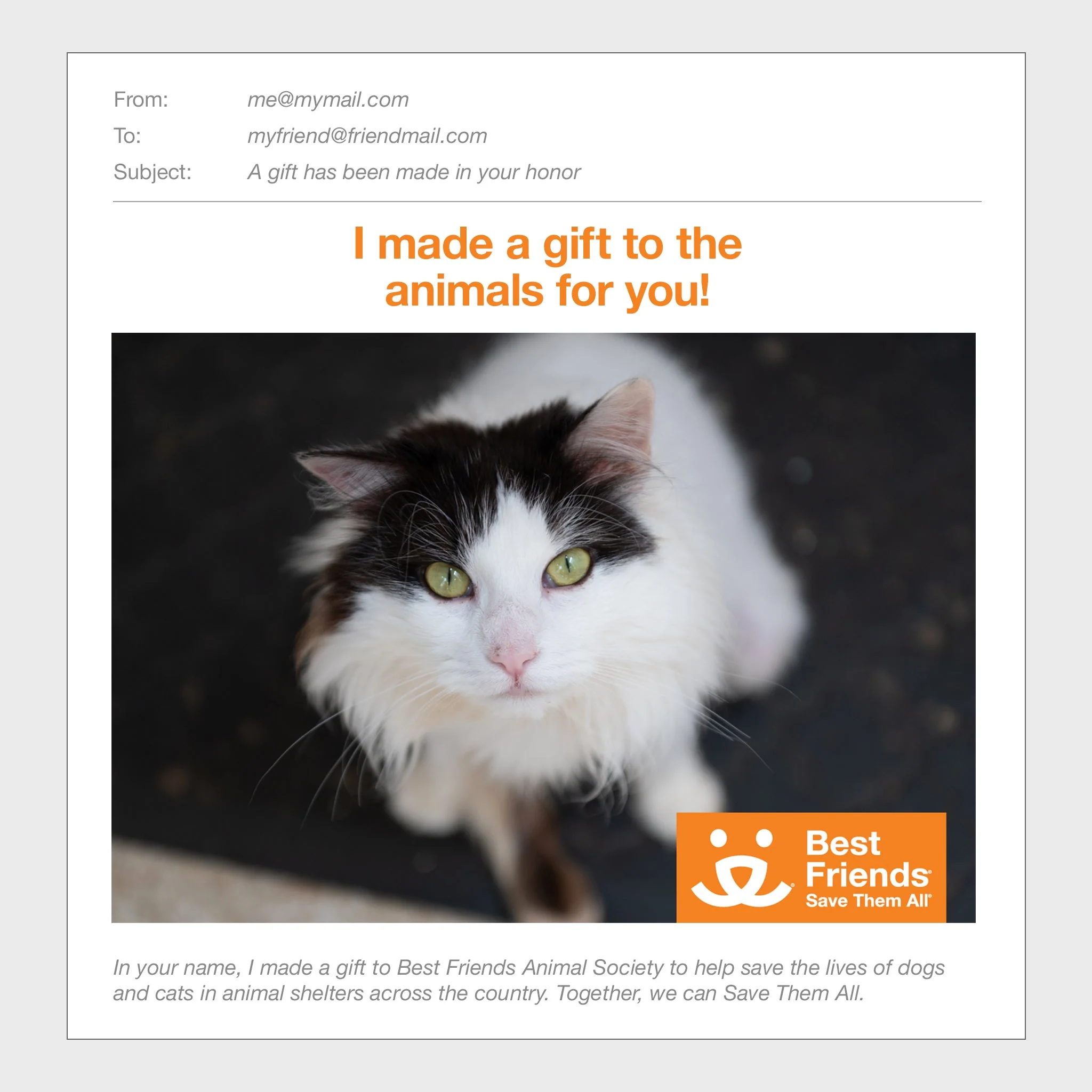 Sponsor Precious - Image 3