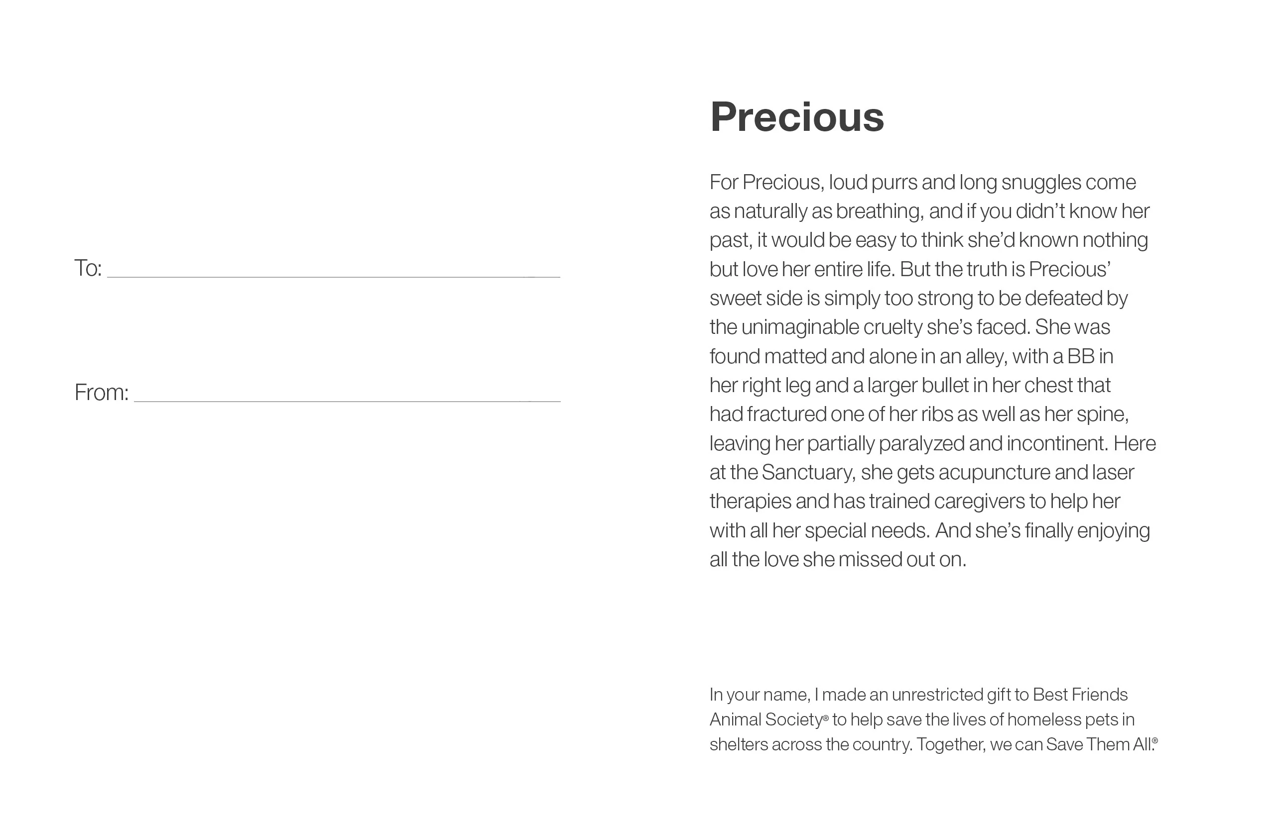 Sponsor Precious - Image 5