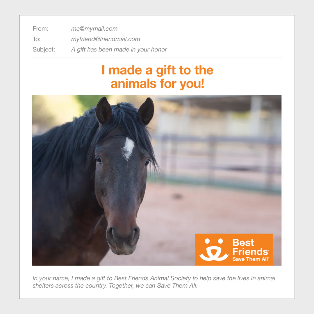 Sponsor Prince - Image 3