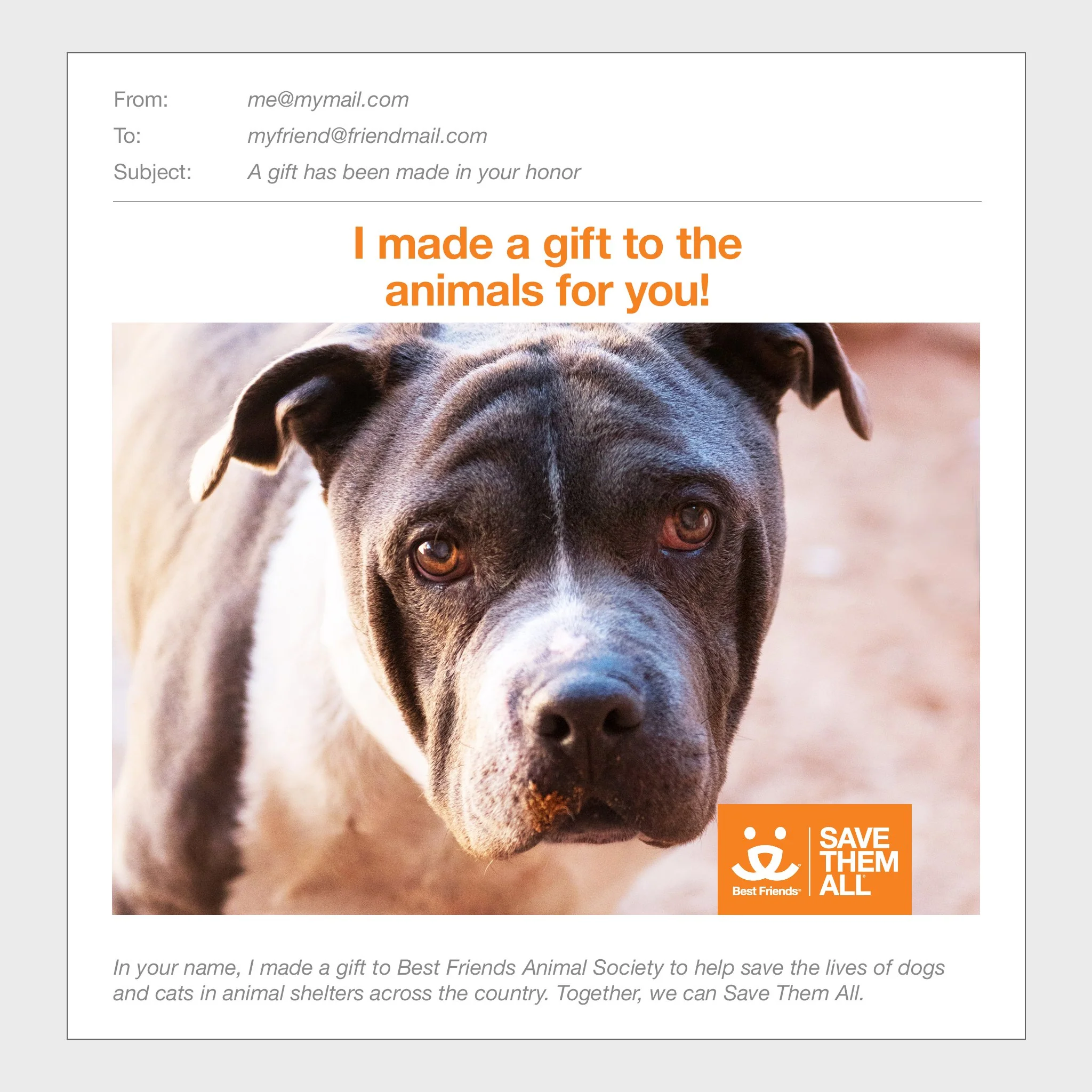 (ARCHIVED) Sponsor Pudge - Image 3
