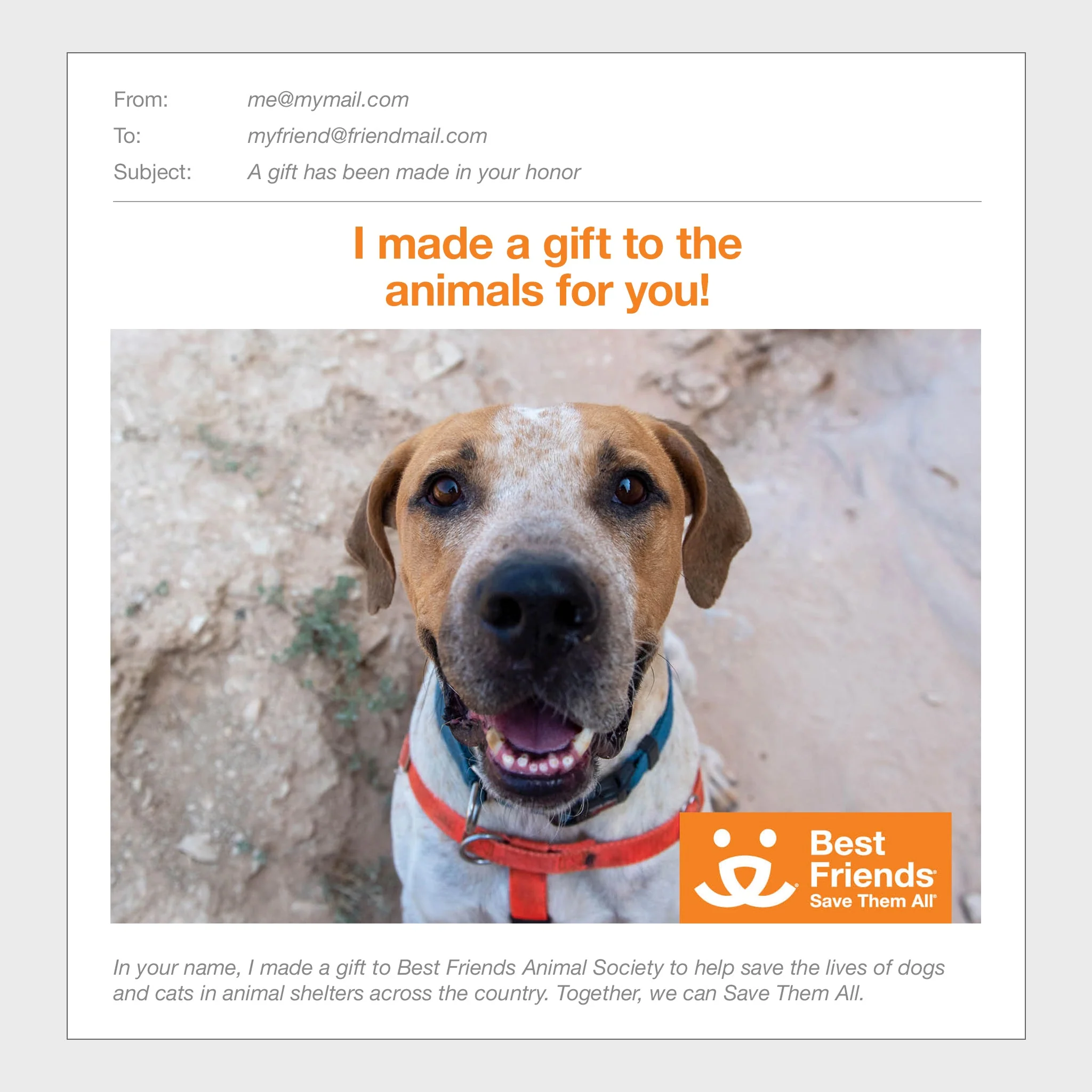 Sponsor Titus - Image 3