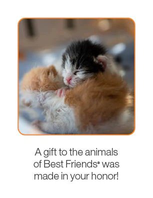 The Snuggle Bundle - Image 3