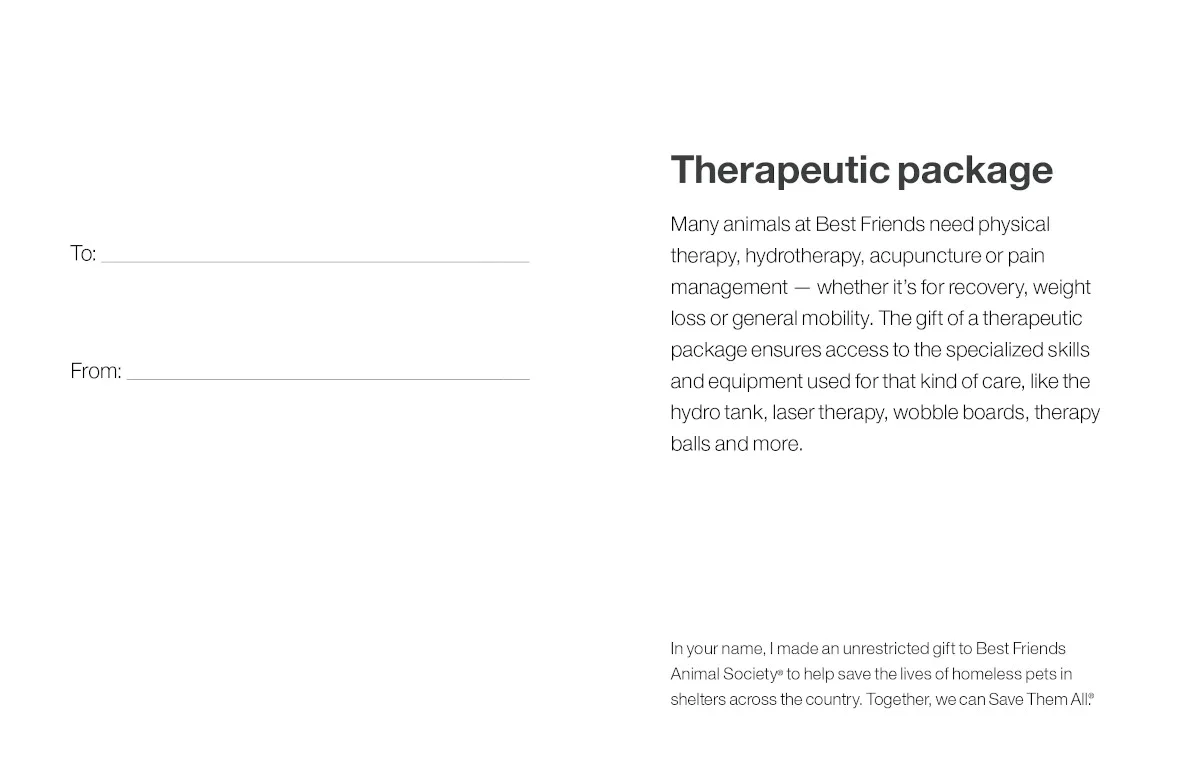 Therapeutic Package - Image 4