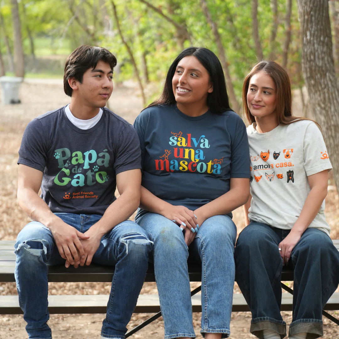 Trae Amor A Casa T-Shirt - Image 6