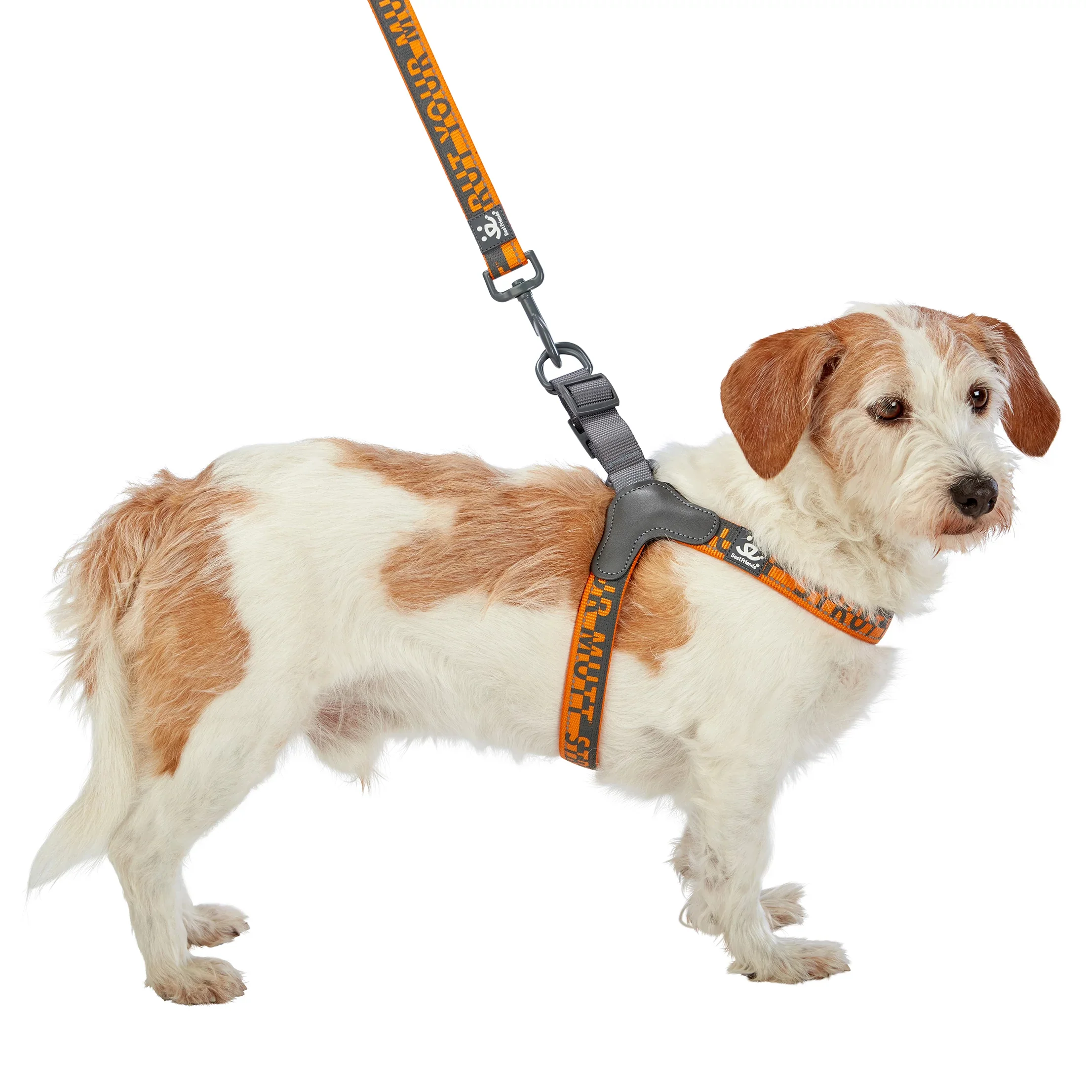 Comfort Harness - Image 10