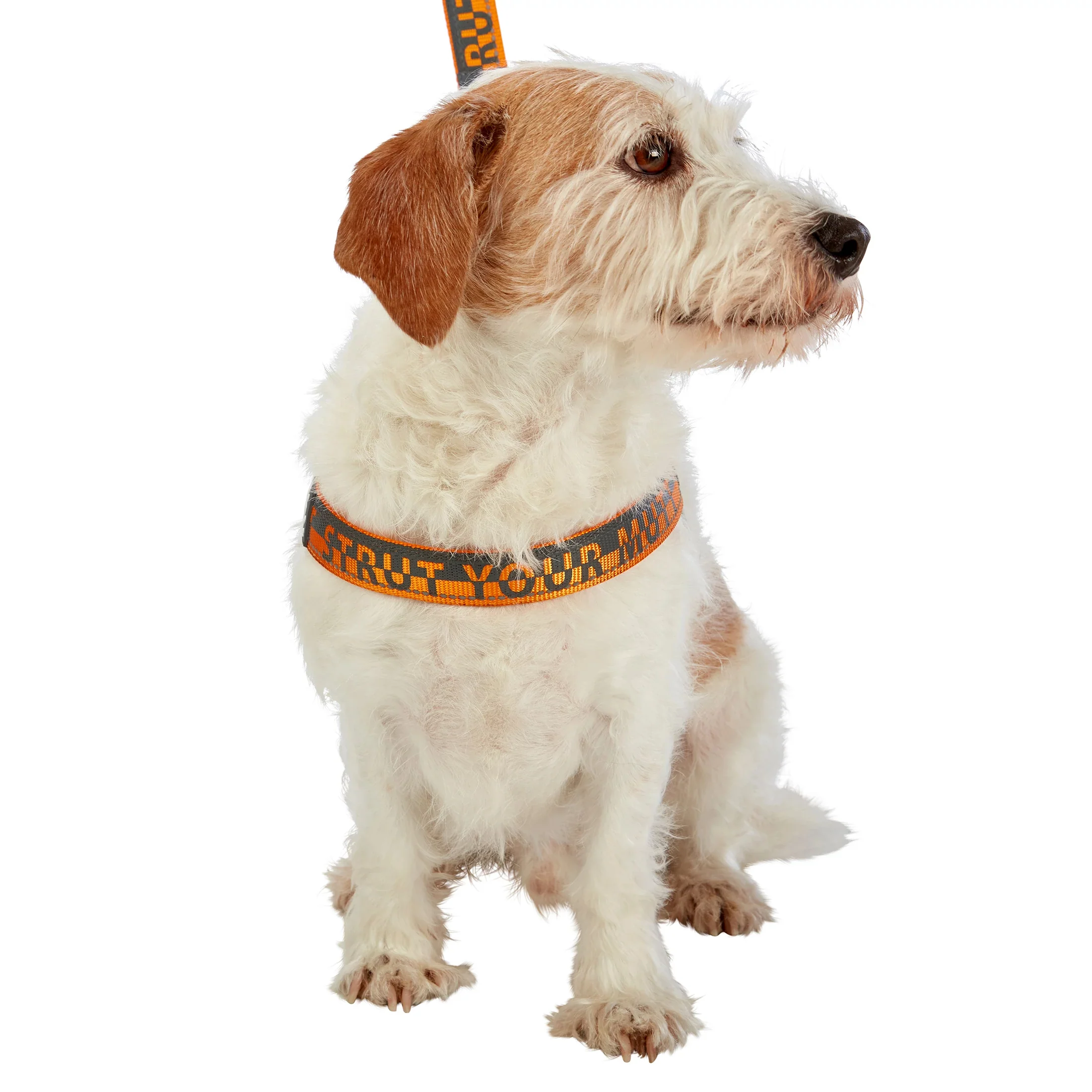 Comfort Harness - Image 11
