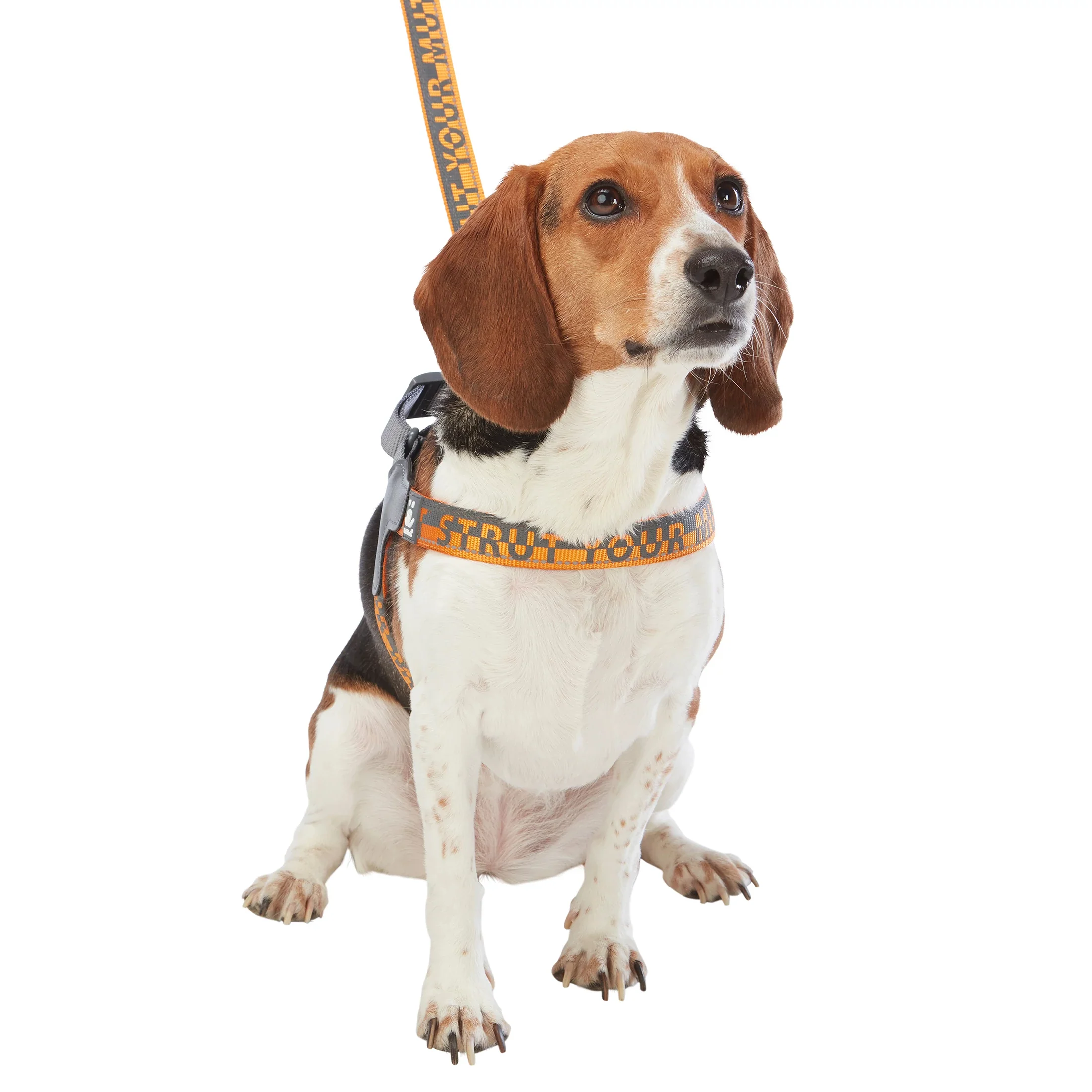 Comfort Harness - Image 13