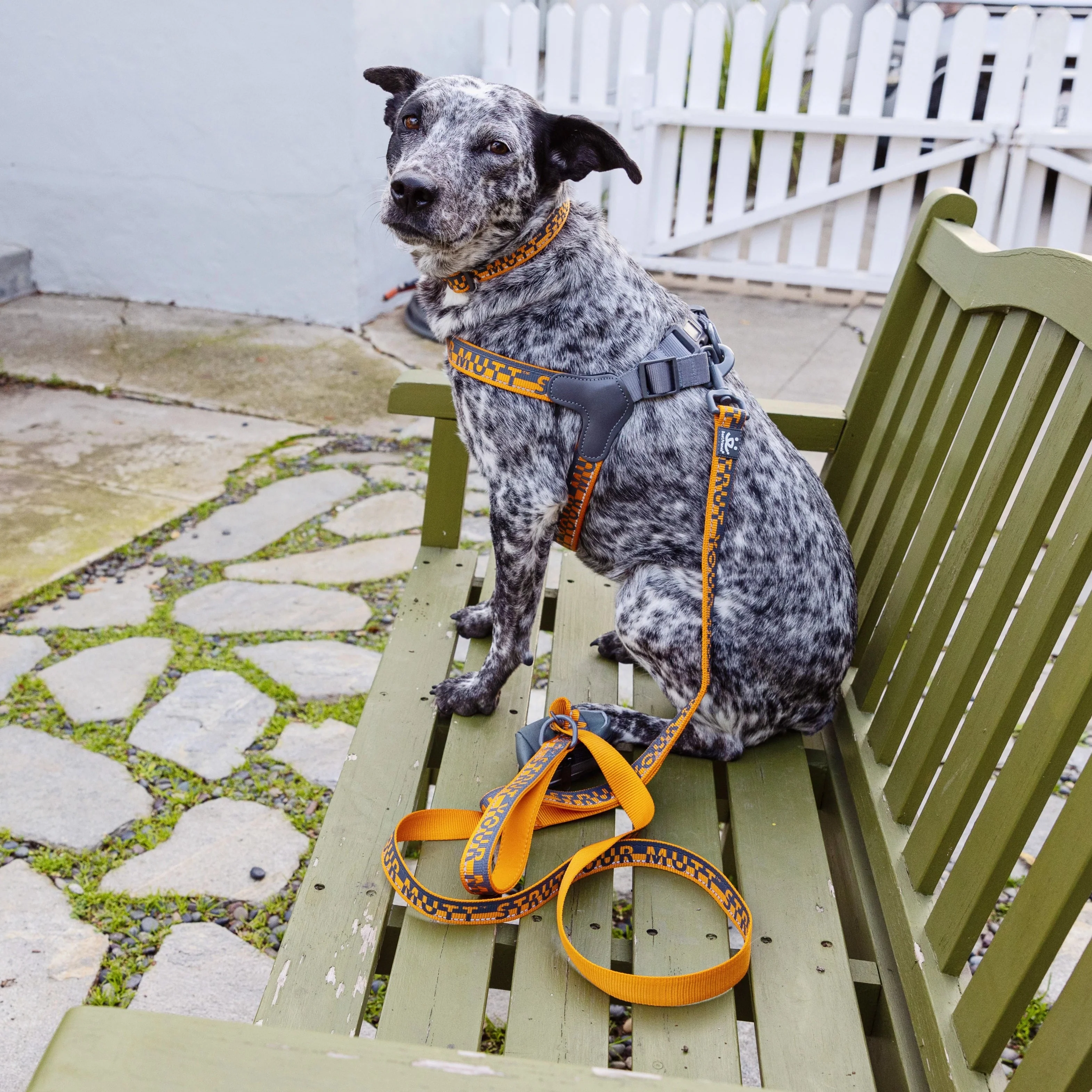 Comfort Harness - Image 3