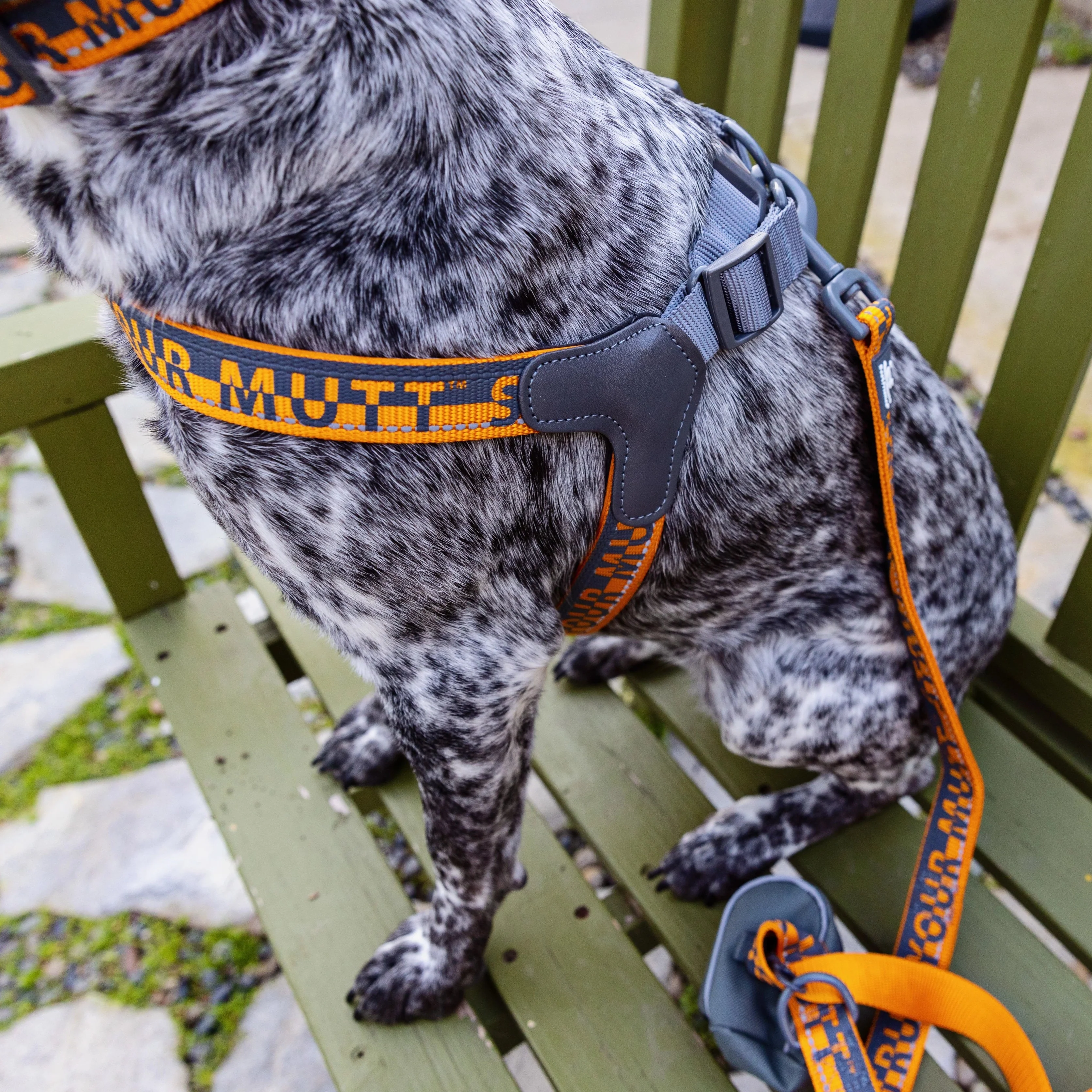 Comfort Harness - Image 4