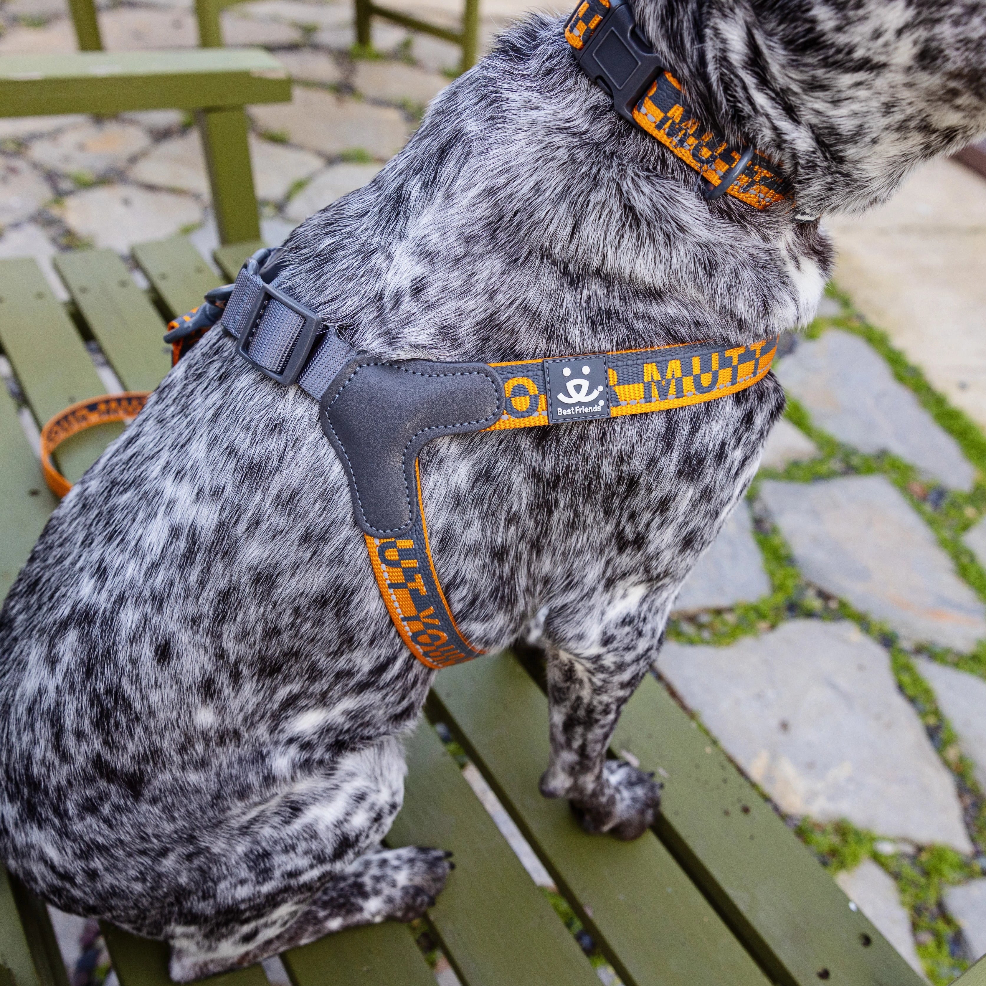 Comfort Harness - Image 7