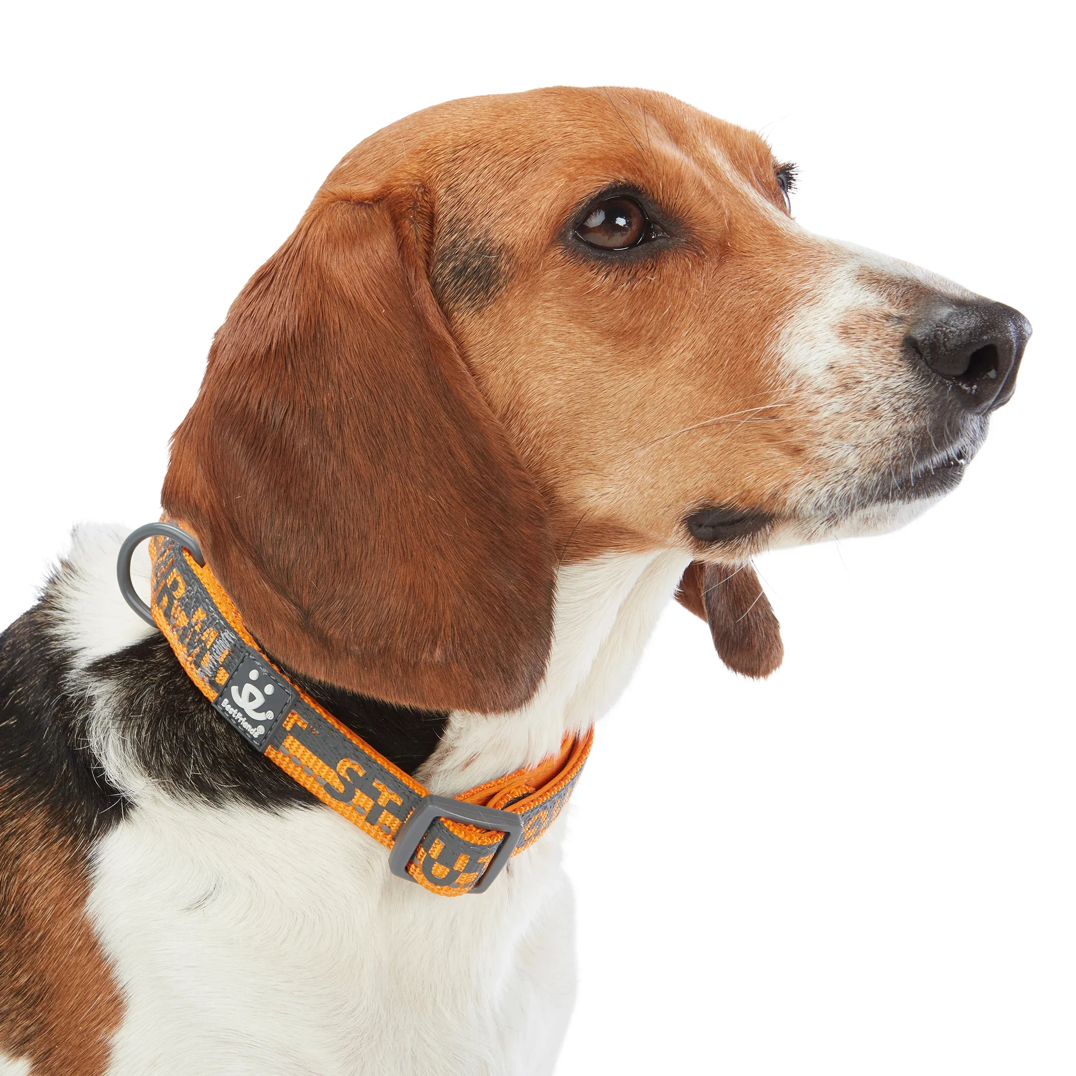 Comfort Dog Collar - Image 10