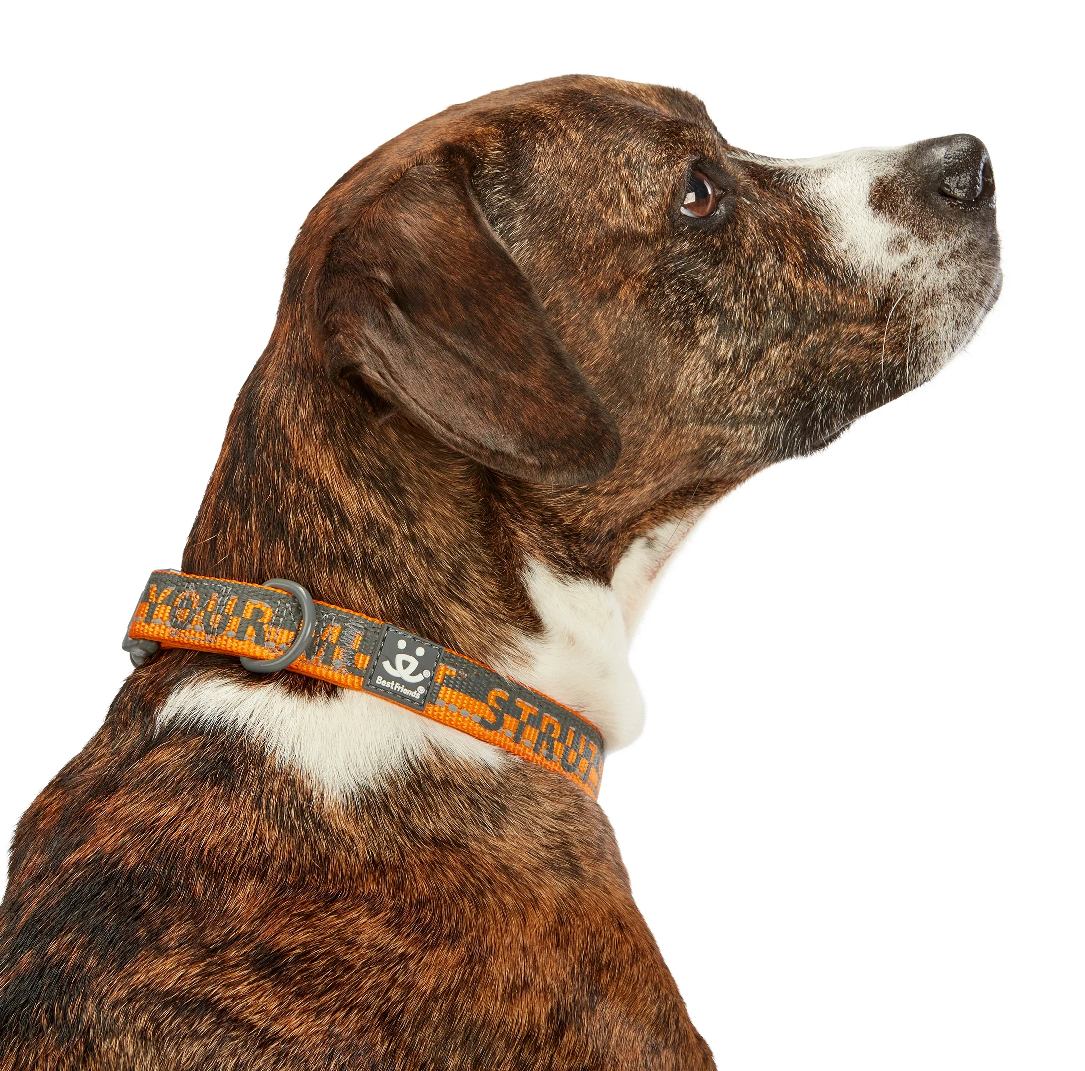 Comfort Dog Collar - Image 13