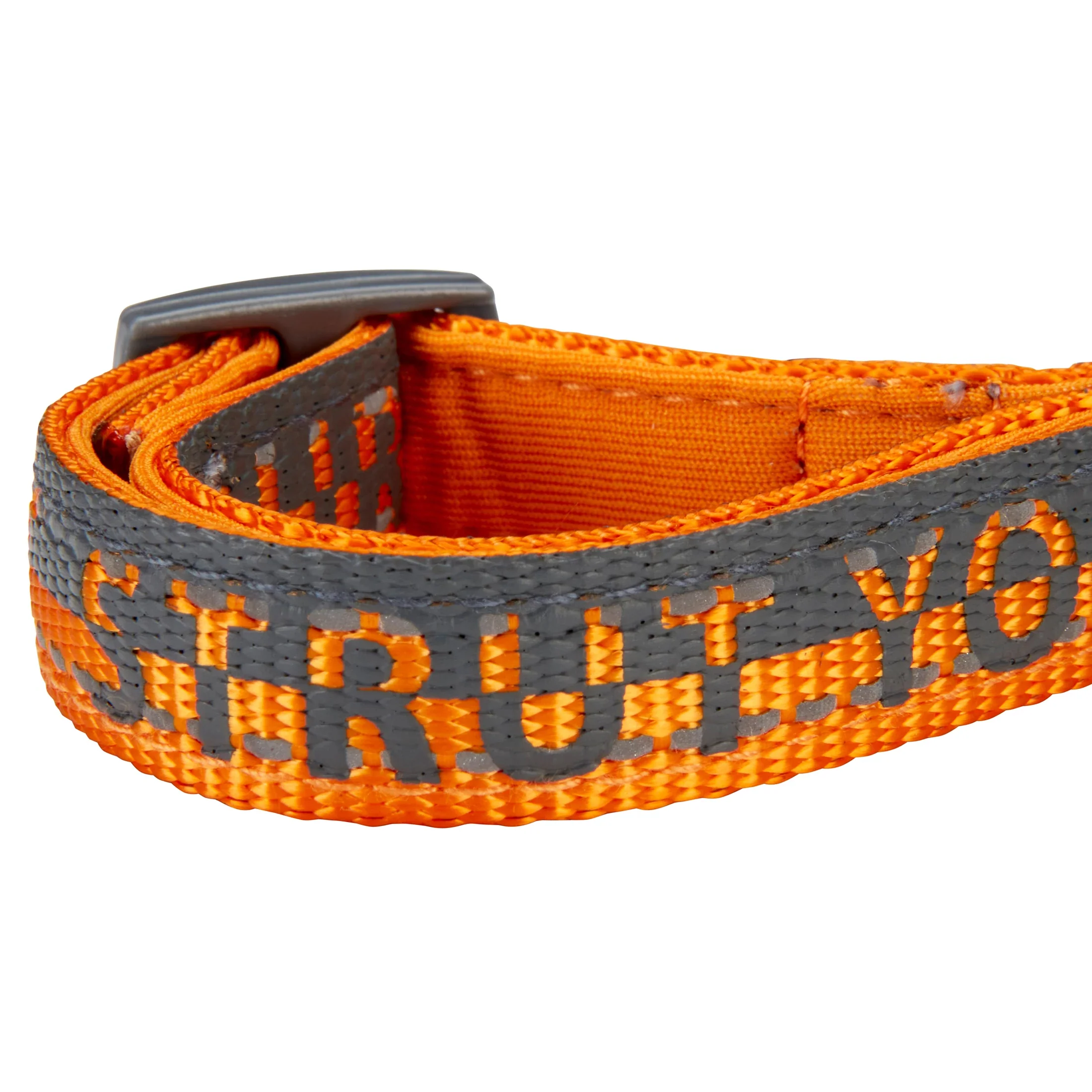 Comfort Dog Collar - Image 14