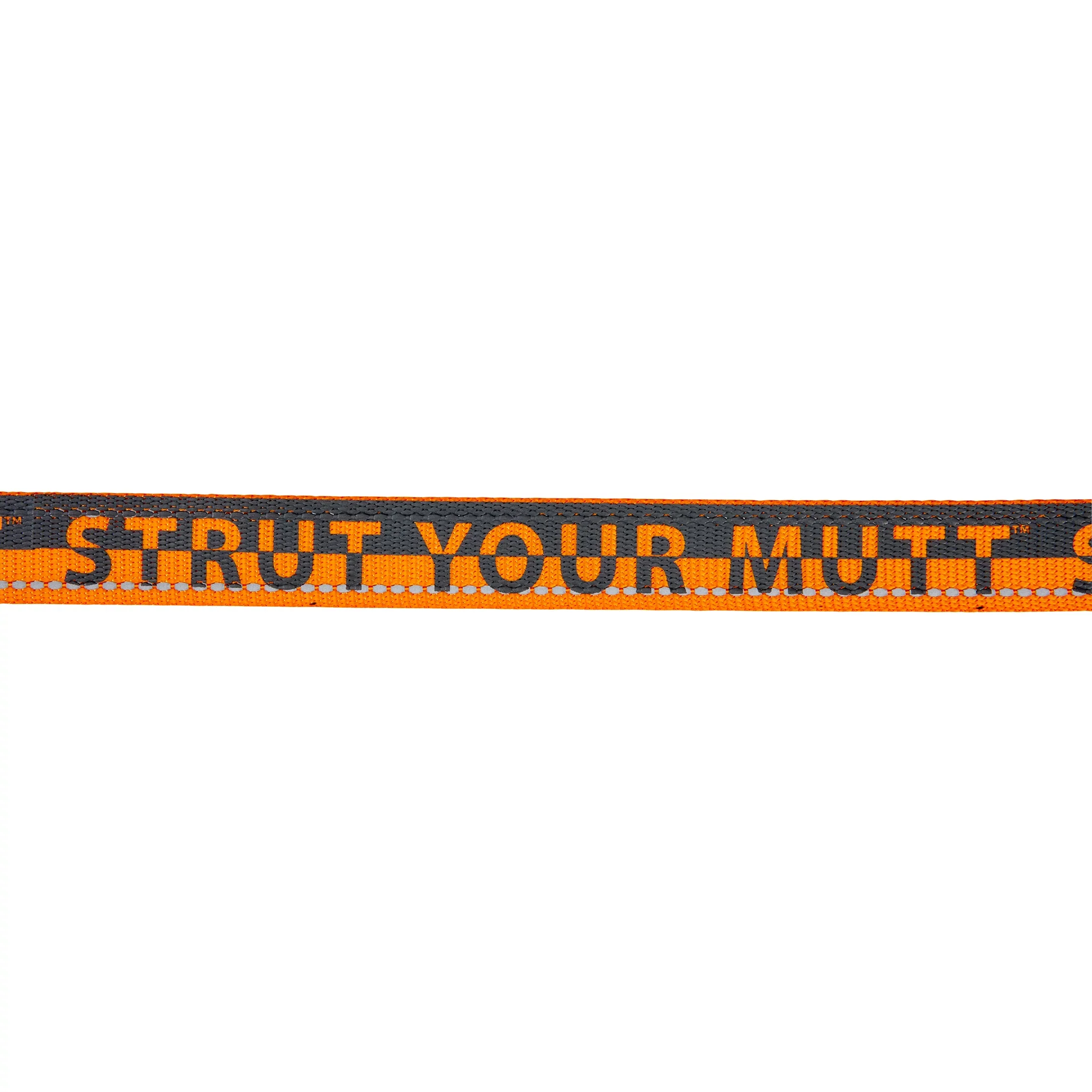 Comfort Dog Collar - Image 16