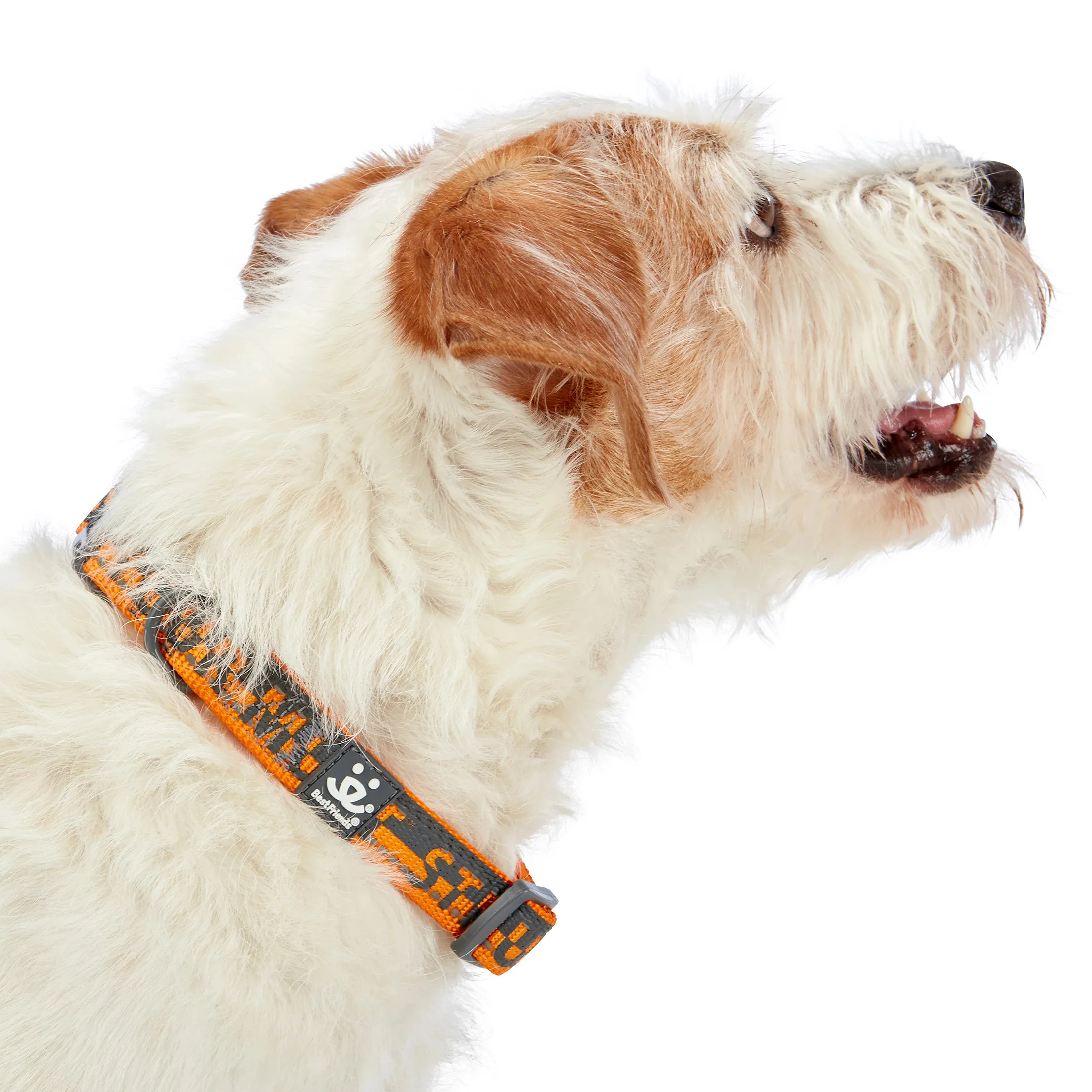 Comfort Dog Collar - Image 7
