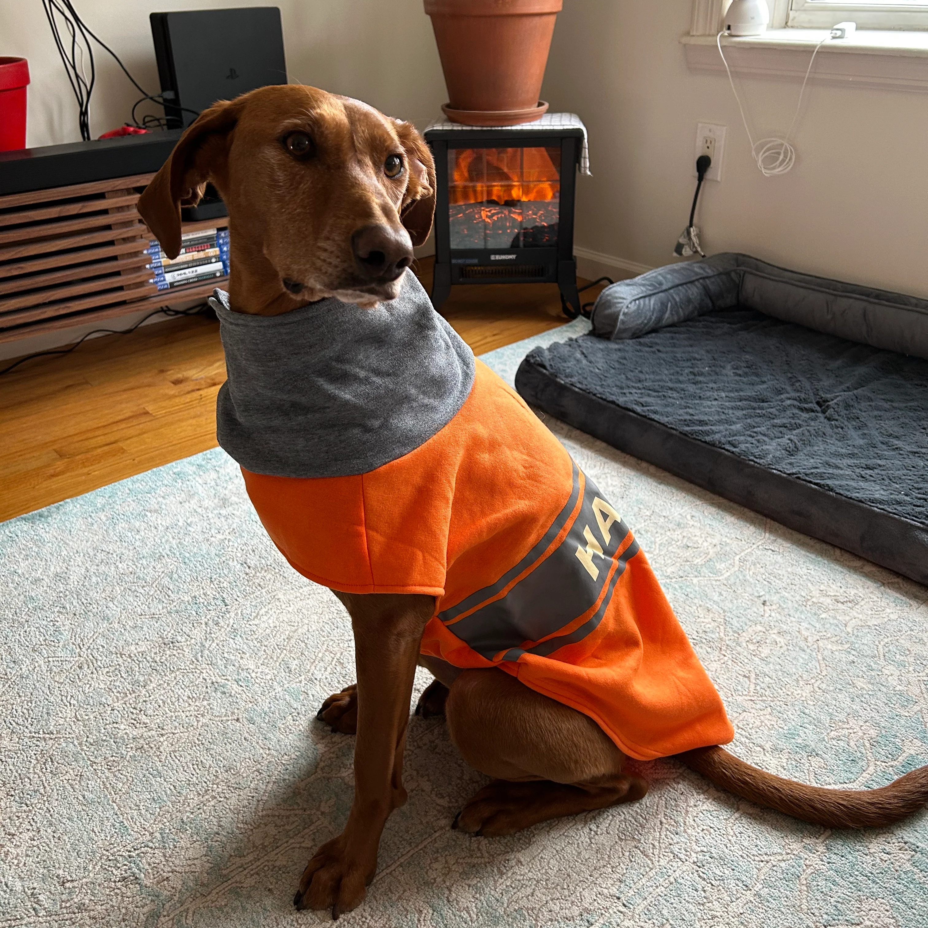 Happy High Neck Dog Jacket - Image 10
