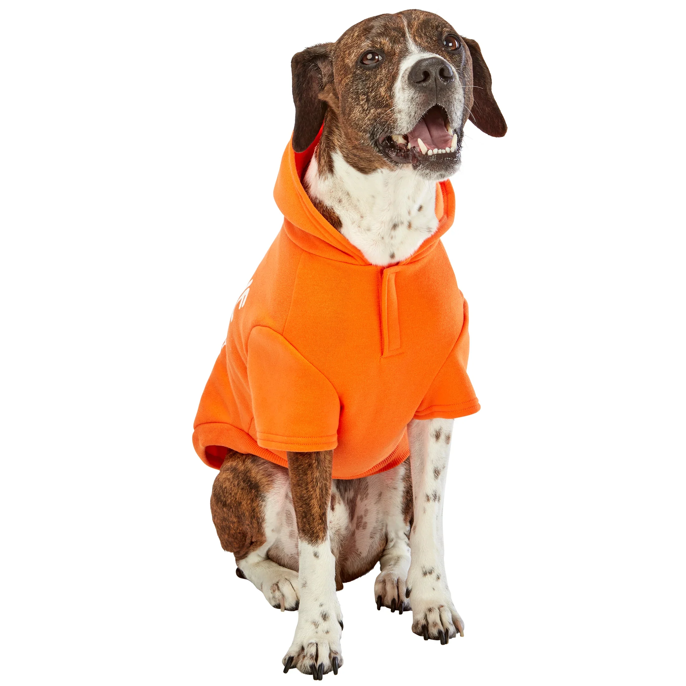 Pawsitive Attitude Dog Hoodie - Image 11