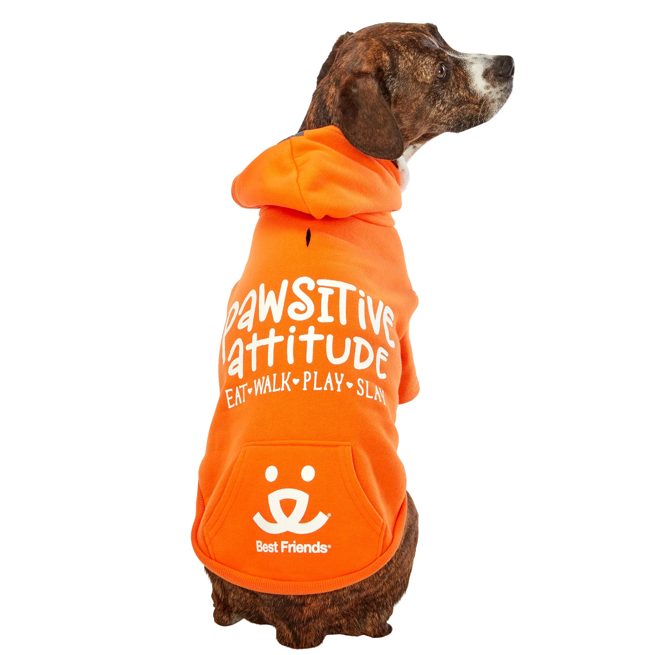 Pawsitive Attitude Dog Hoodie - Image 12