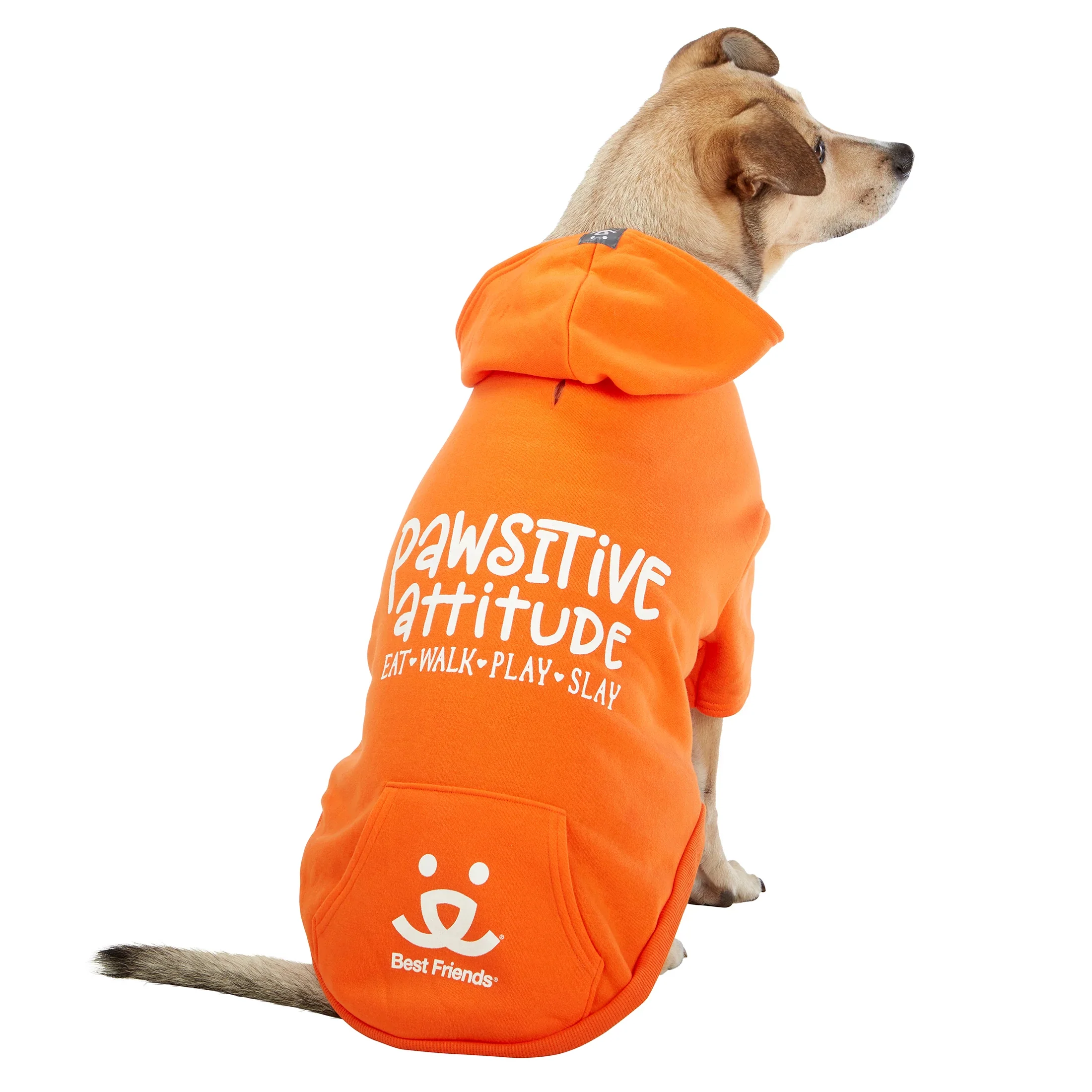 Pawsitive Attitude Dog Hoodie - Image 14
