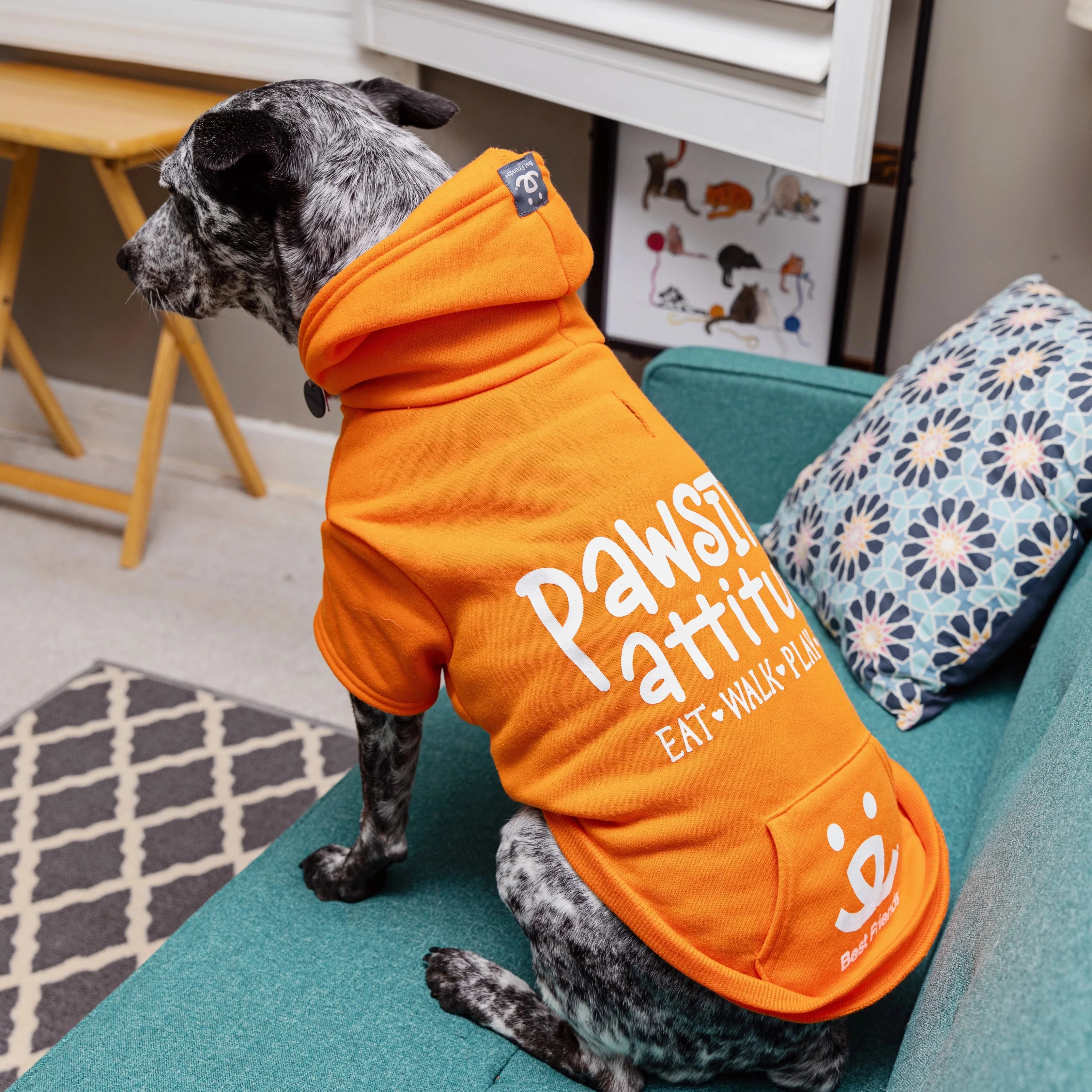 Pawsitive Attitude Dog Hoodie - Image 15