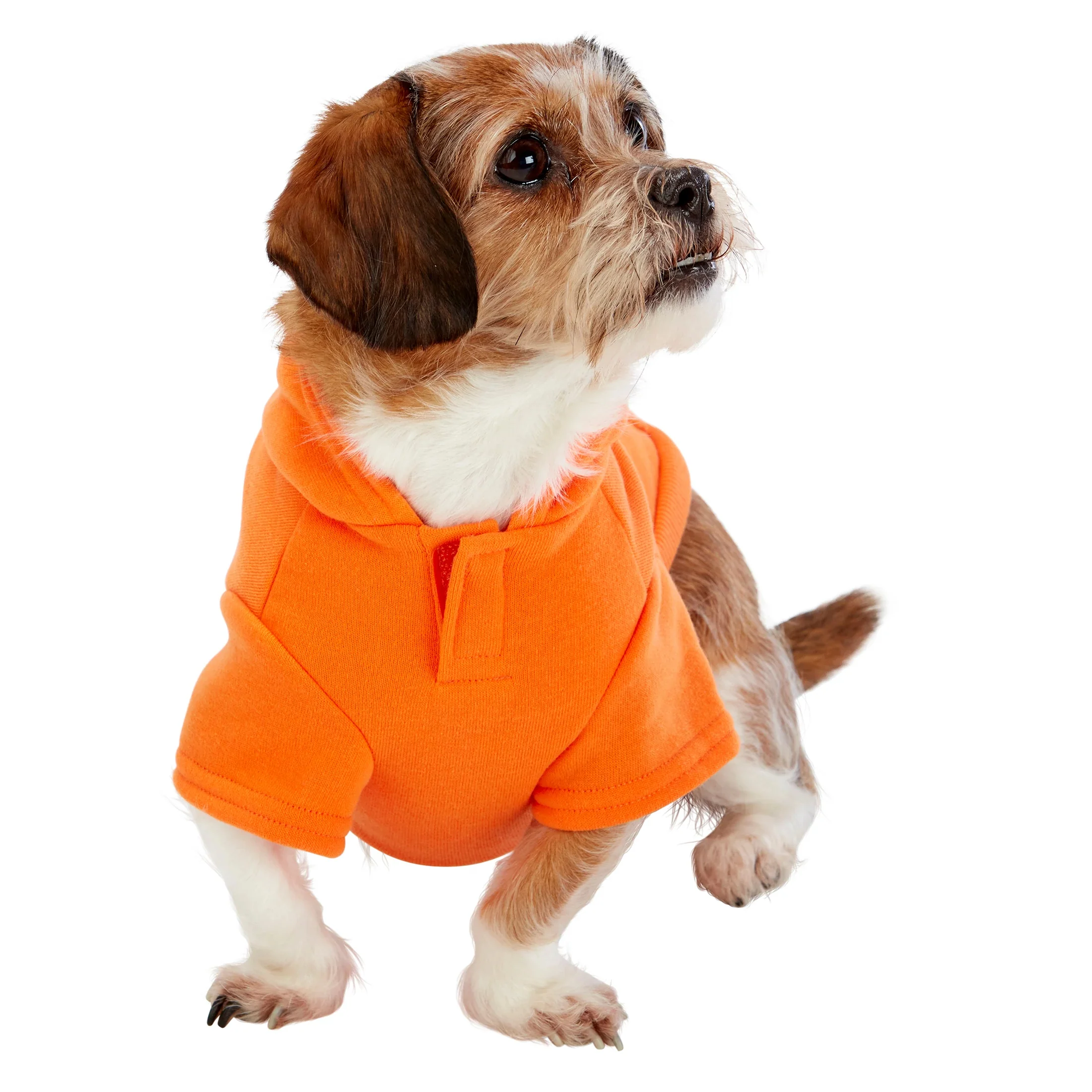 Pawsitive Attitude Dog Hoodie - Image 5