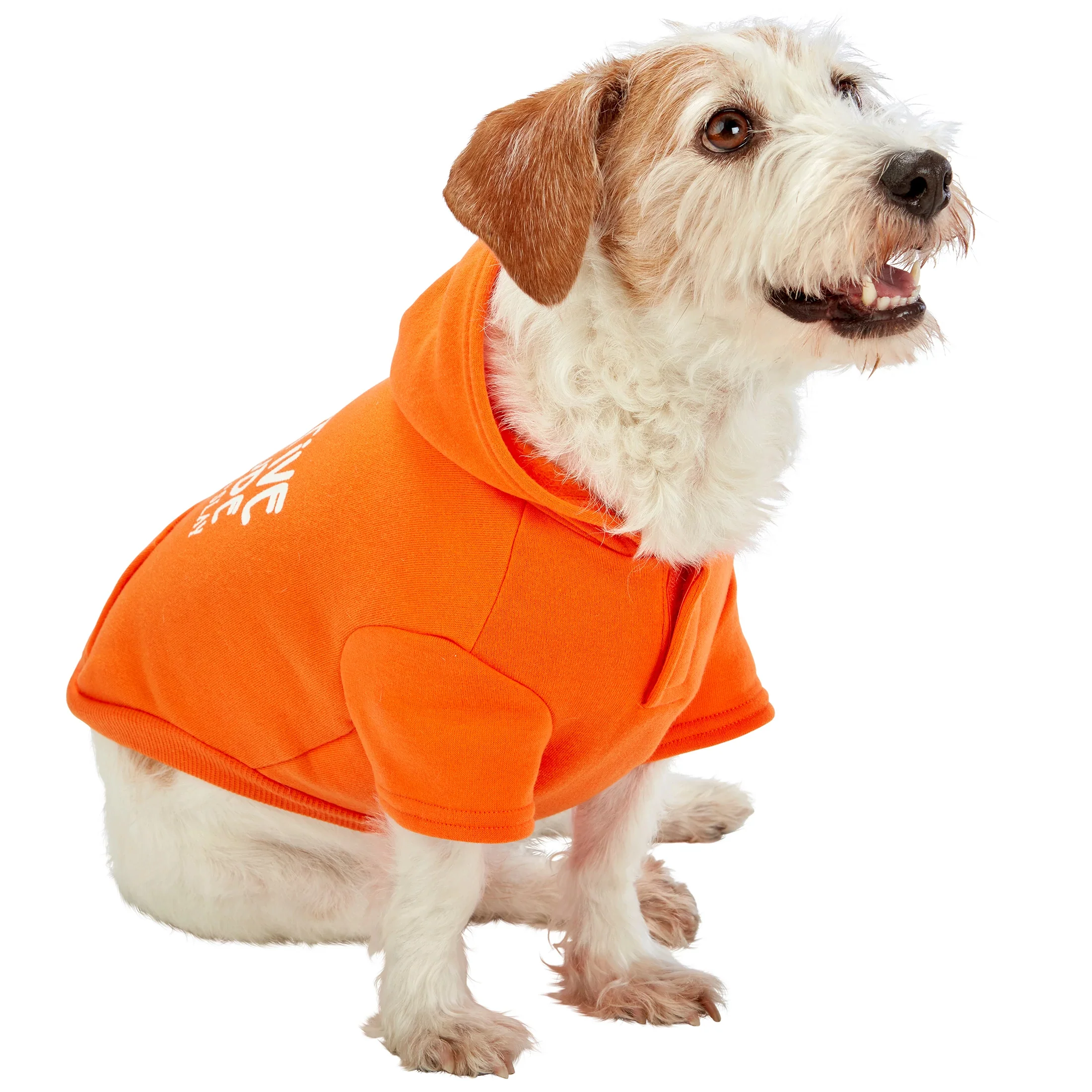 Pawsitive Attitude Dog Hoodie - Image 7