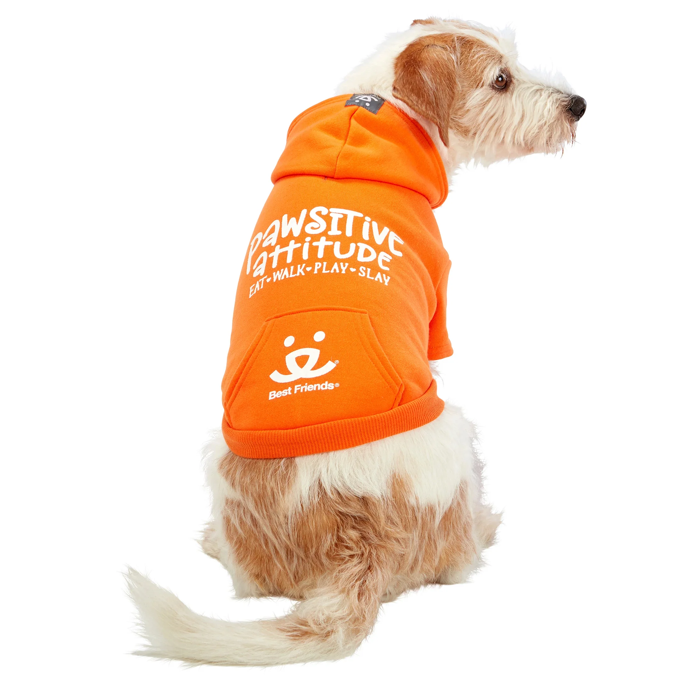 Pawsitive Attitude Dog Hoodie - Image 8