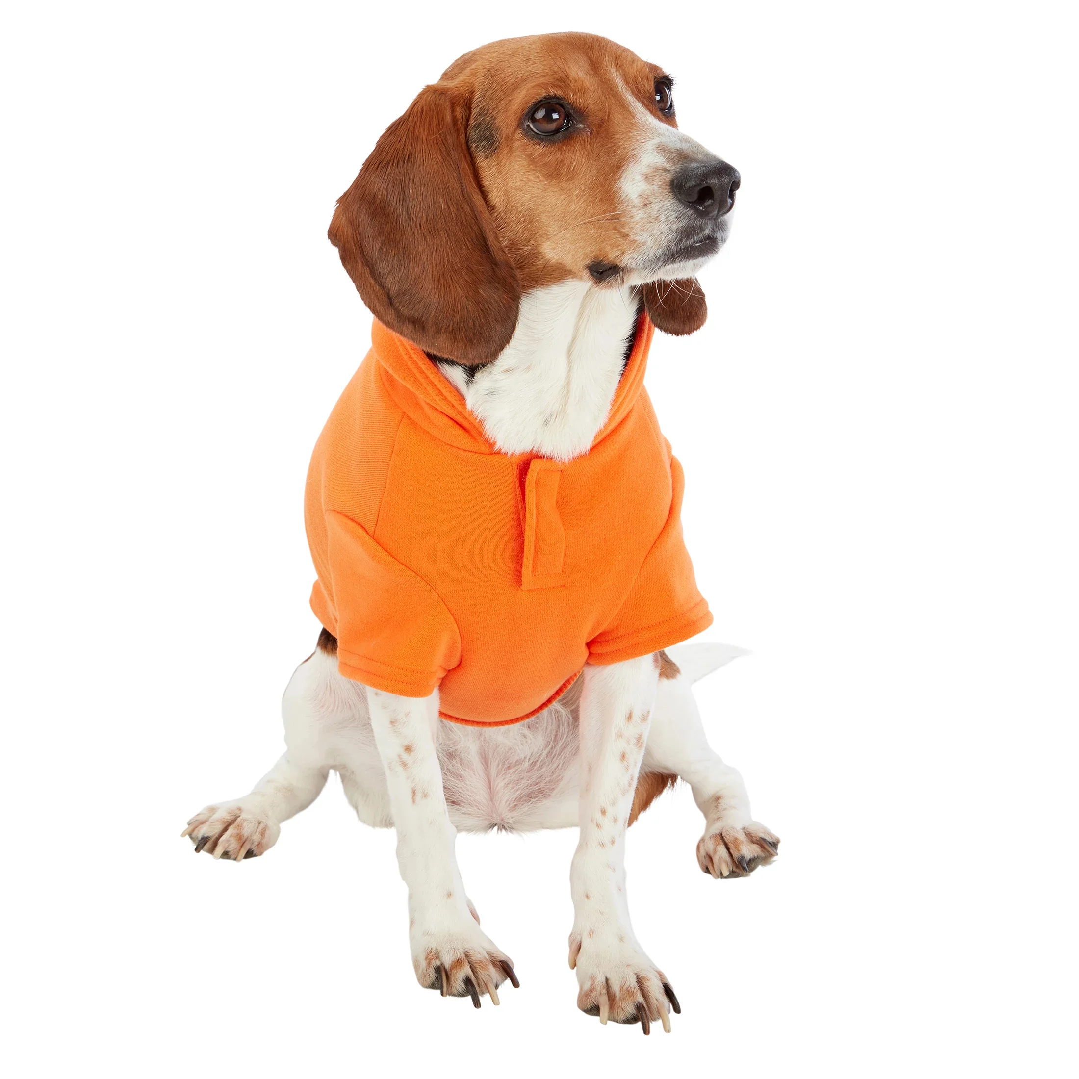Pawsitive Attitude Dog Hoodie - Image 9