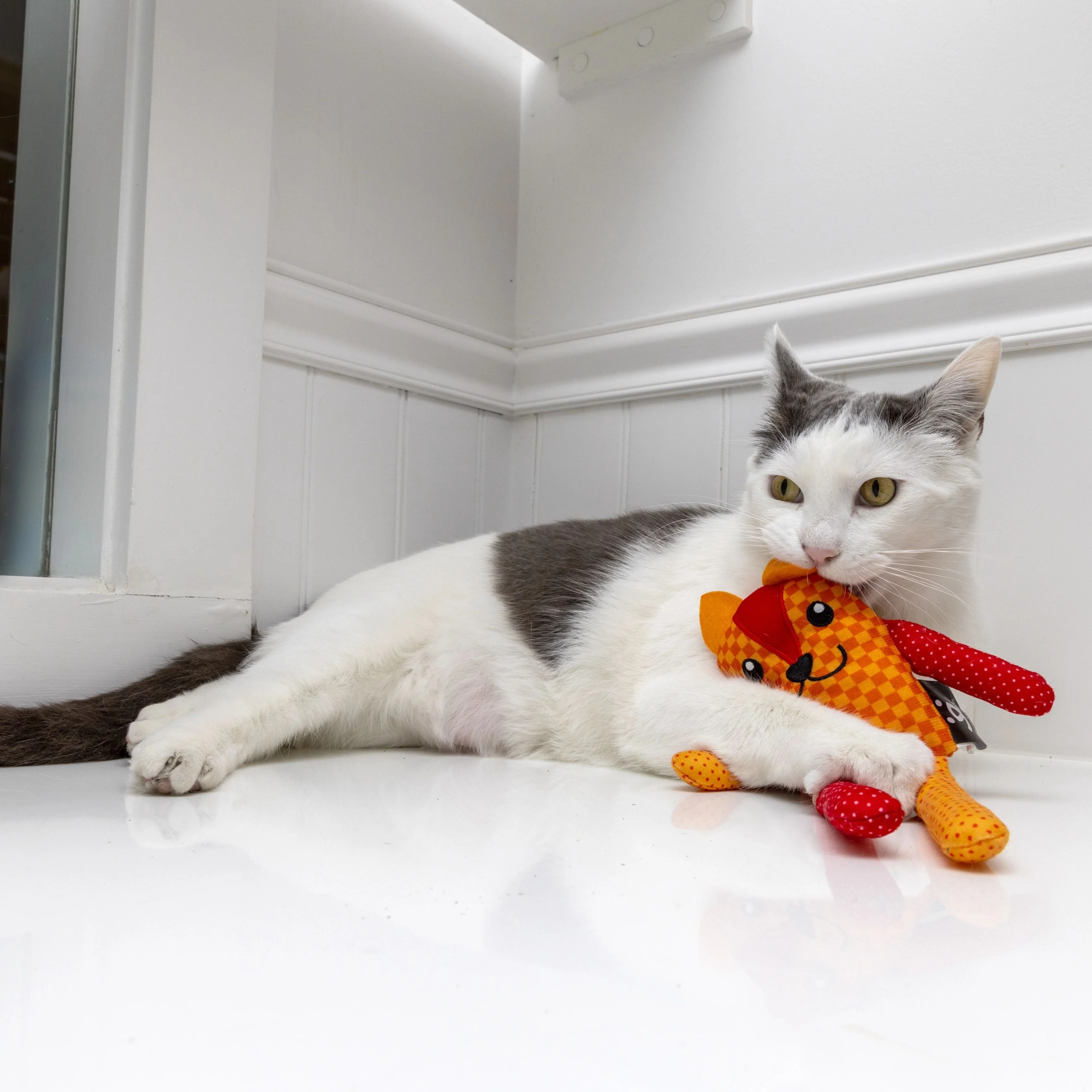 Large Doll Catnip Toy - Image 7