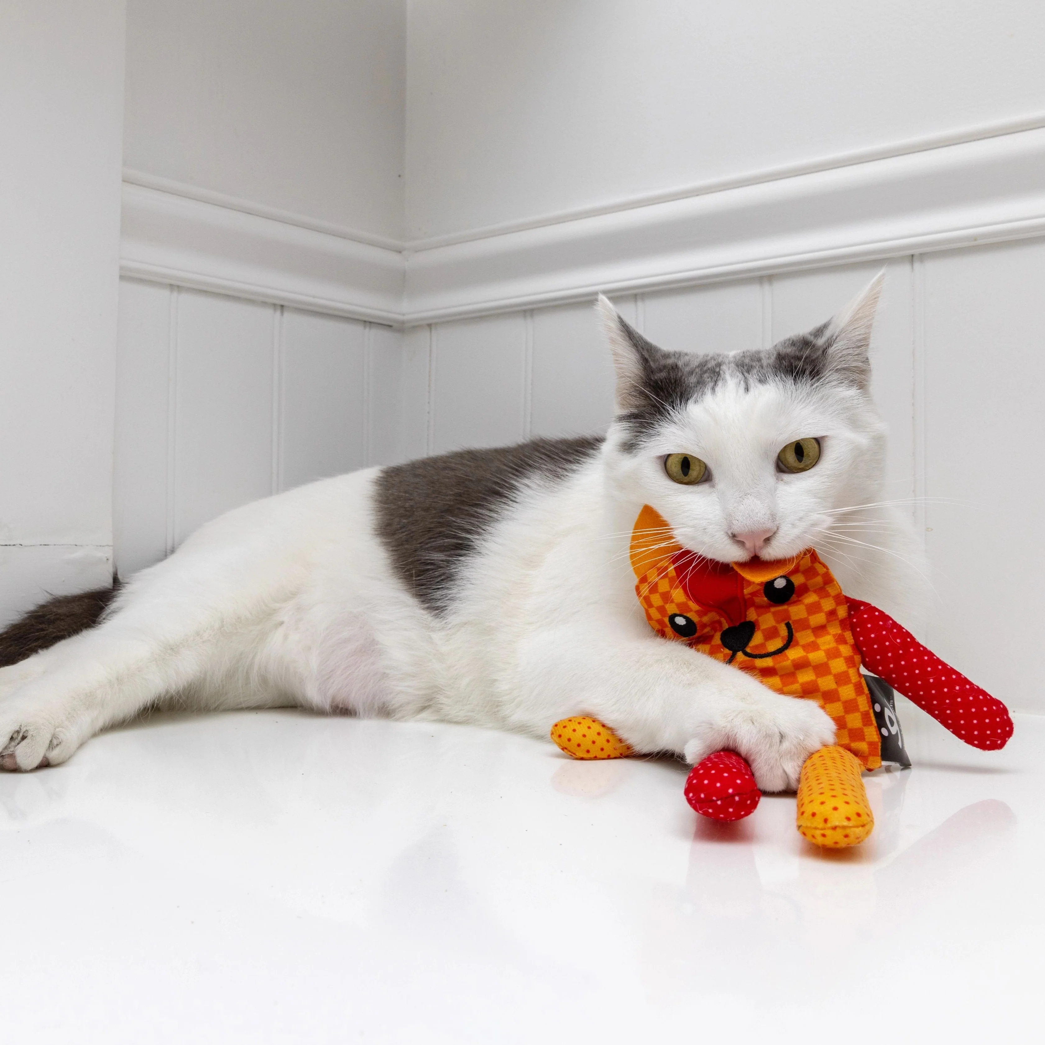 Large Doll Catnip Toy - Image 8