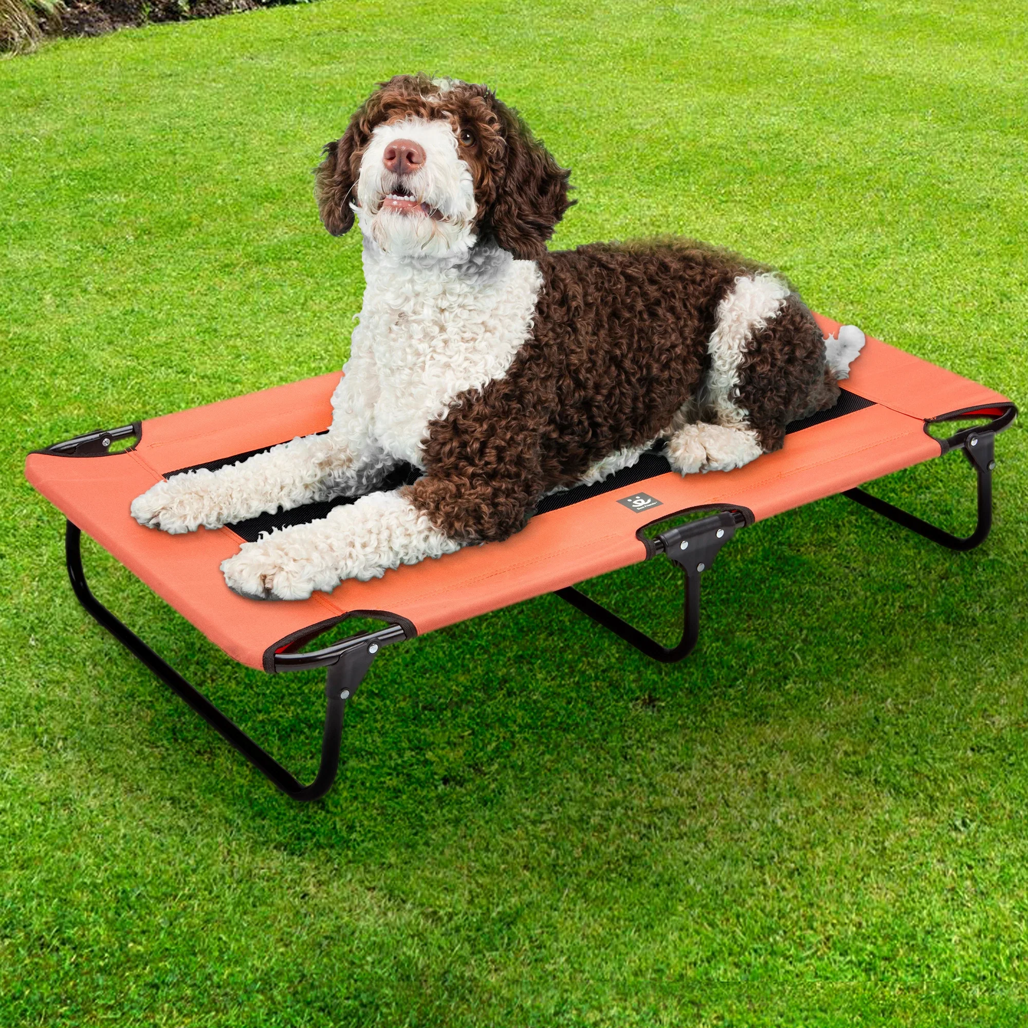 Folding Pet Cot w/Collapsible bowl - Image 6