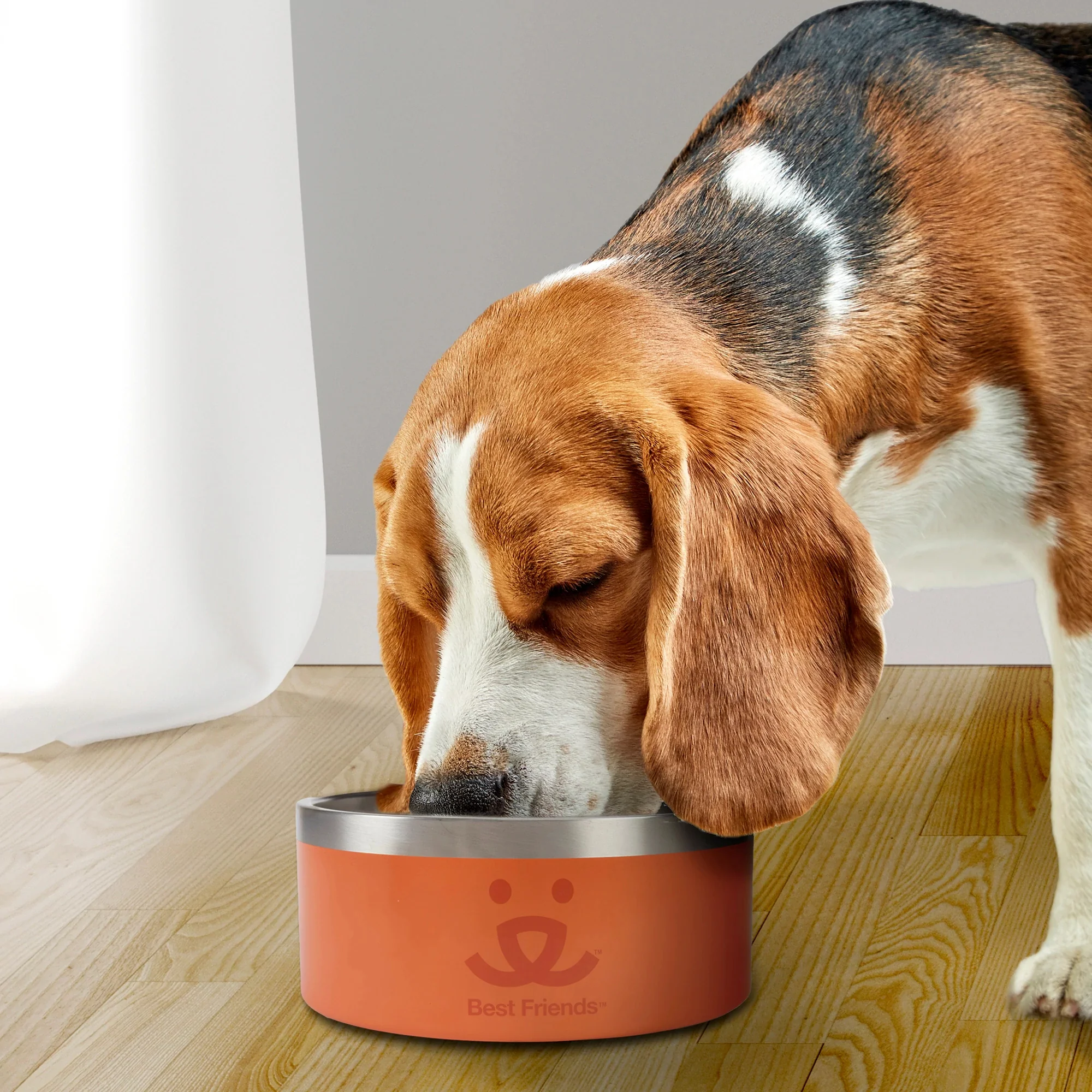 Best Friends Stainless Steel Bowl - Image 4
