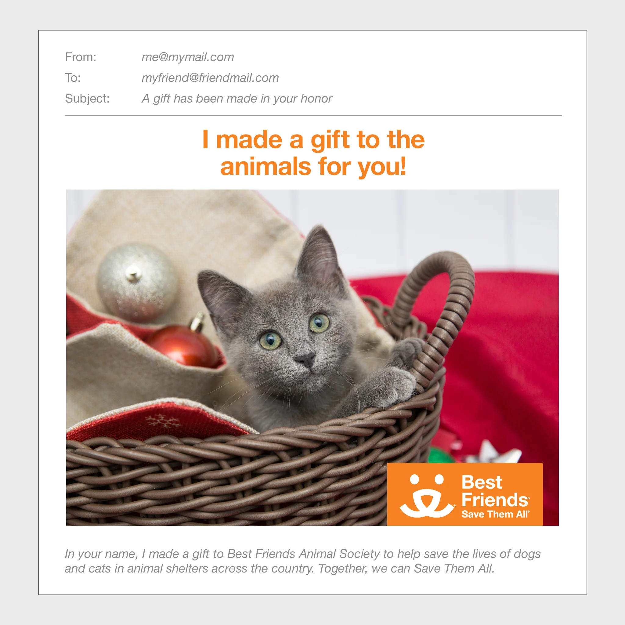 Welcome Basket - Image 2