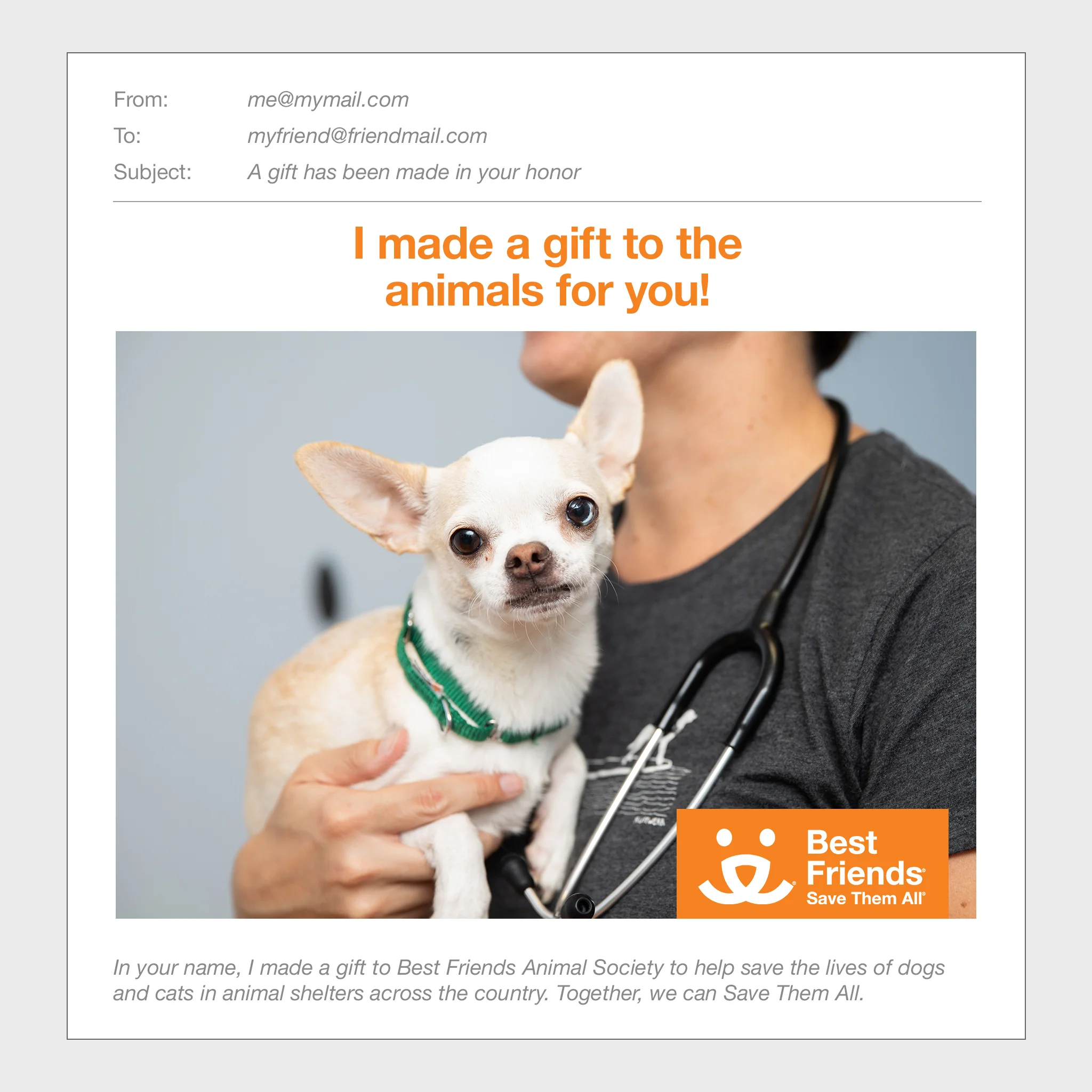 Wellness Bundle - Image 2
