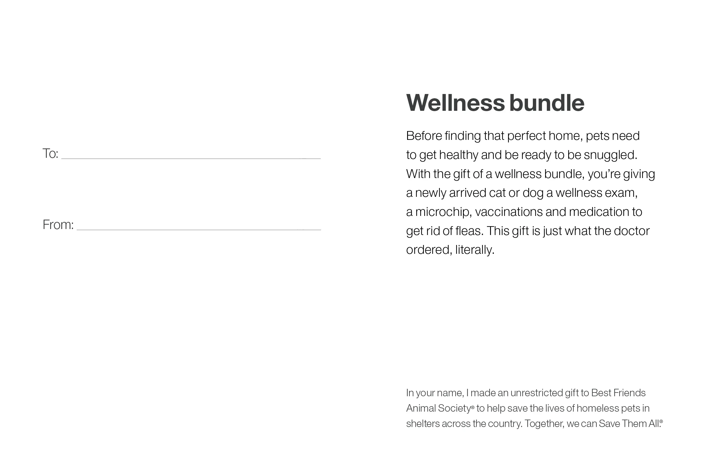 Wellness Bundle - Image 4