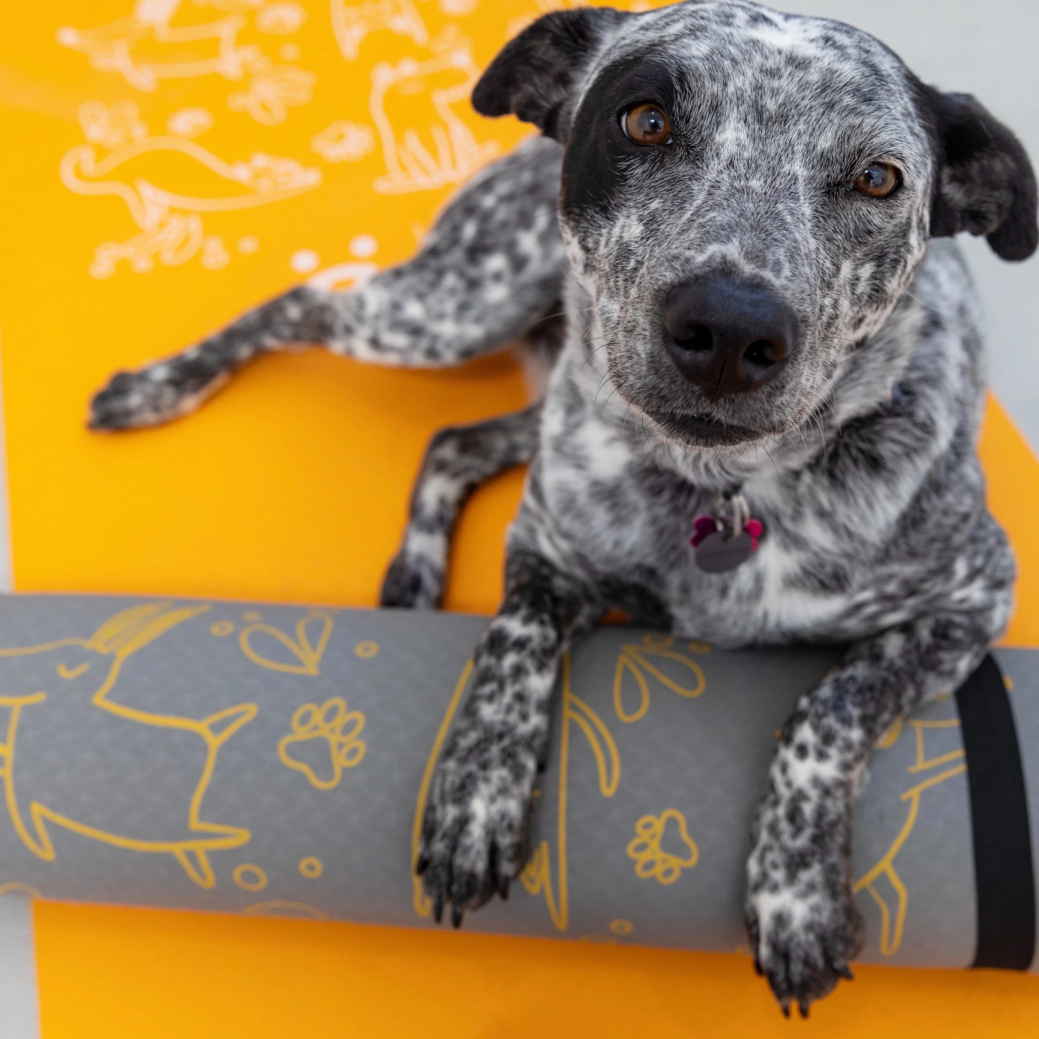 Yoga Mat - Image 3